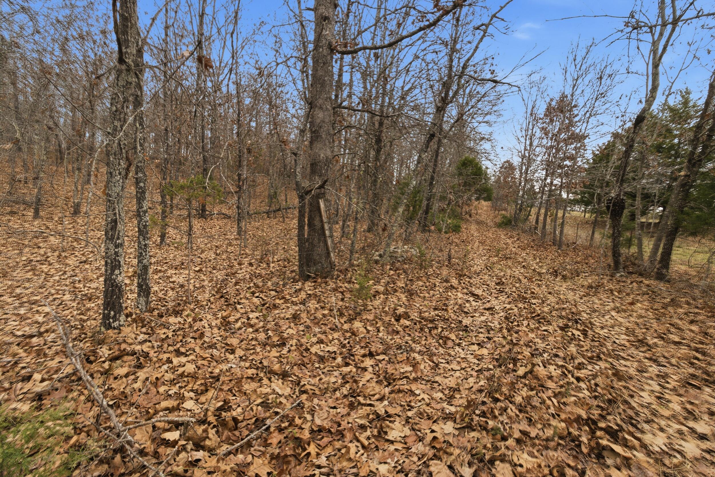 Tbd Old Highway 60 Property Photo 3