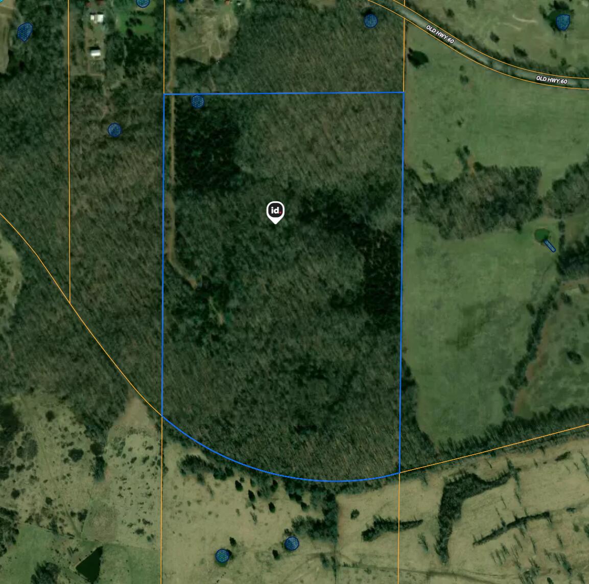 Tbd Old Highway 60 Property Photo 4