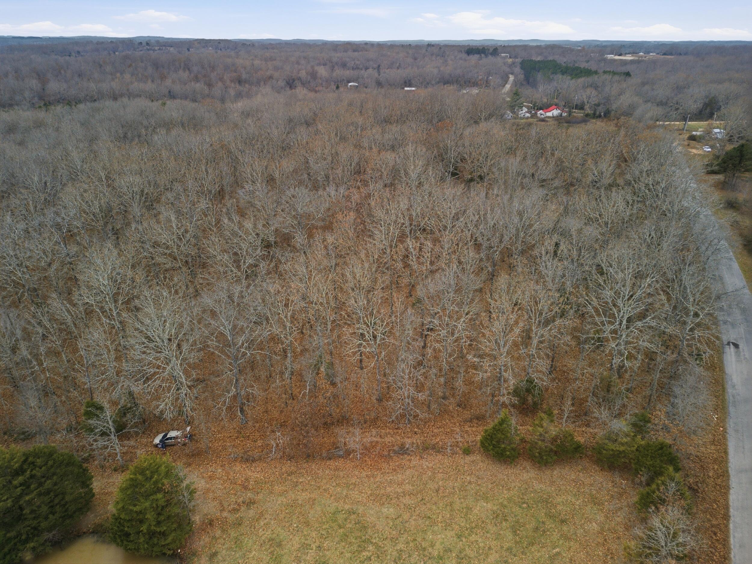 Tbd Old Highway 60 Property Photo 5