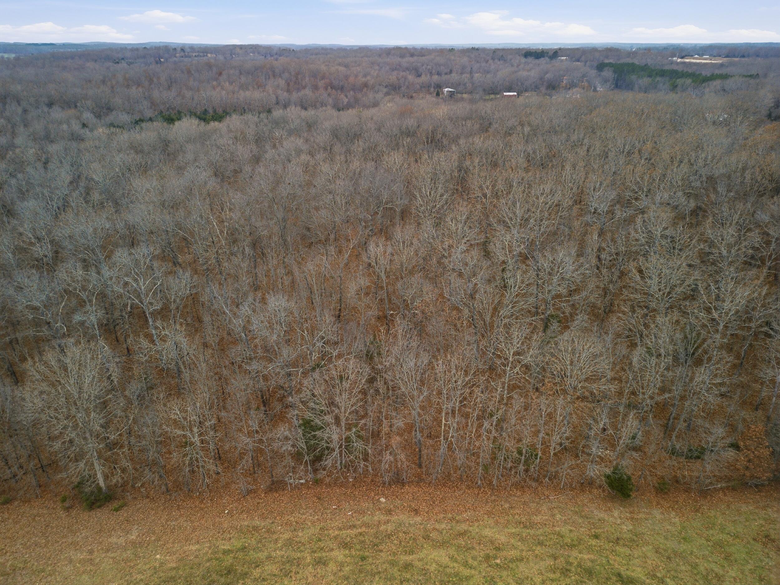 Tbd Old Highway 60 Property Photo 6