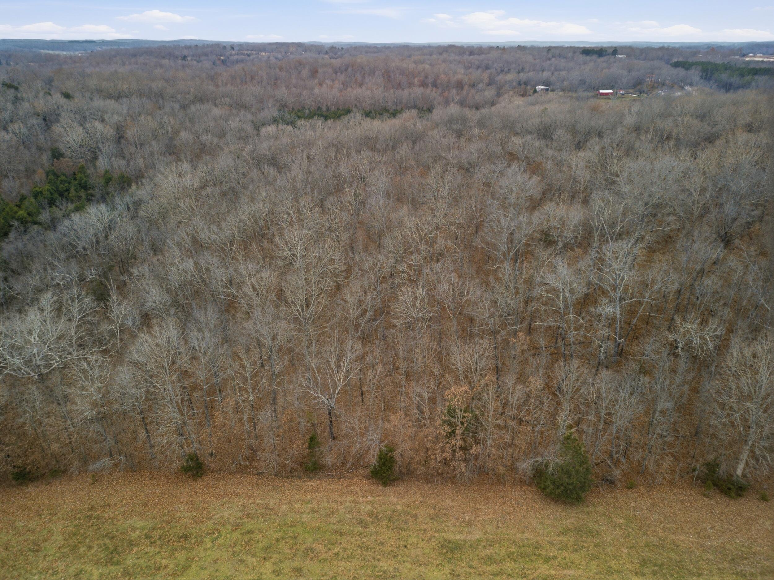 Tbd Old Highway 60 Property Photo 7