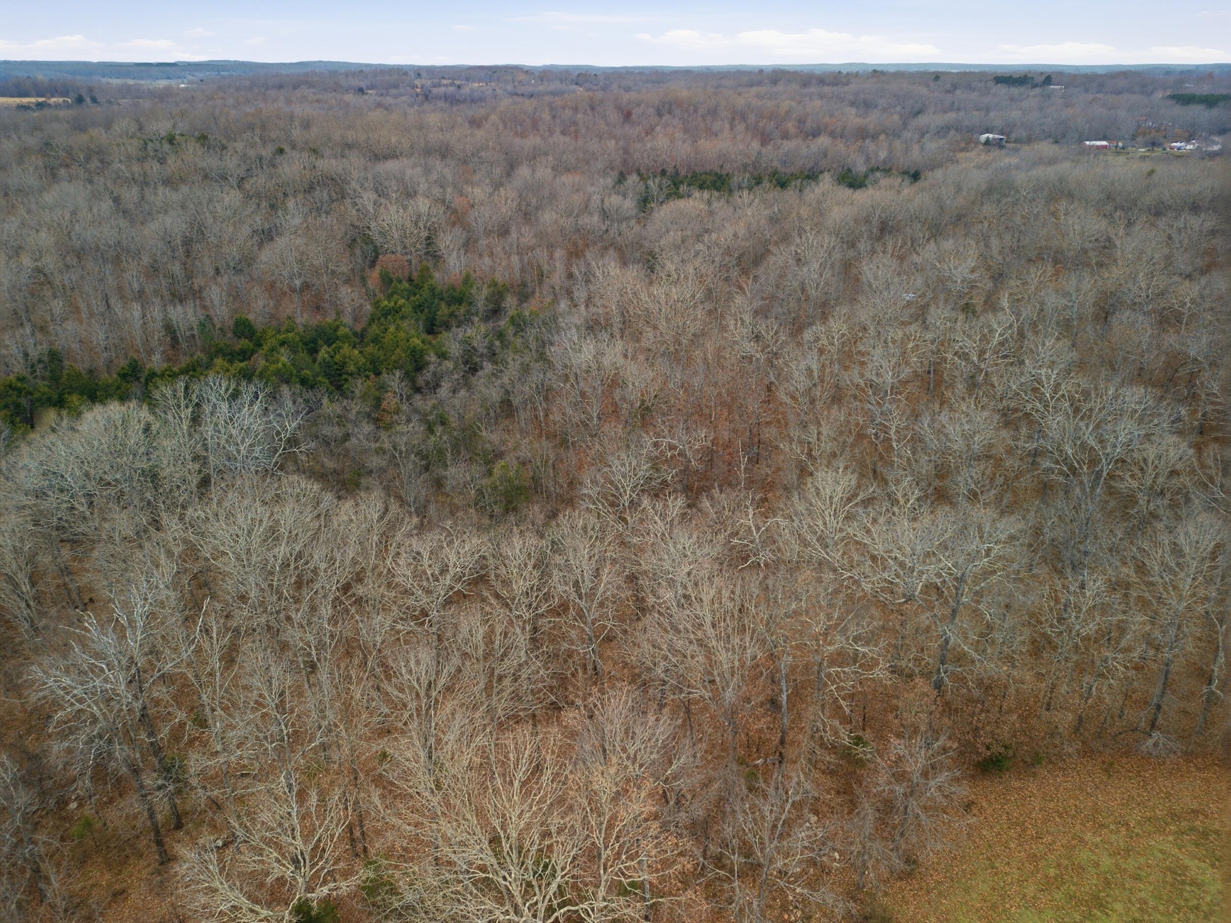 Tbd Old Highway 60 Property Photo 8