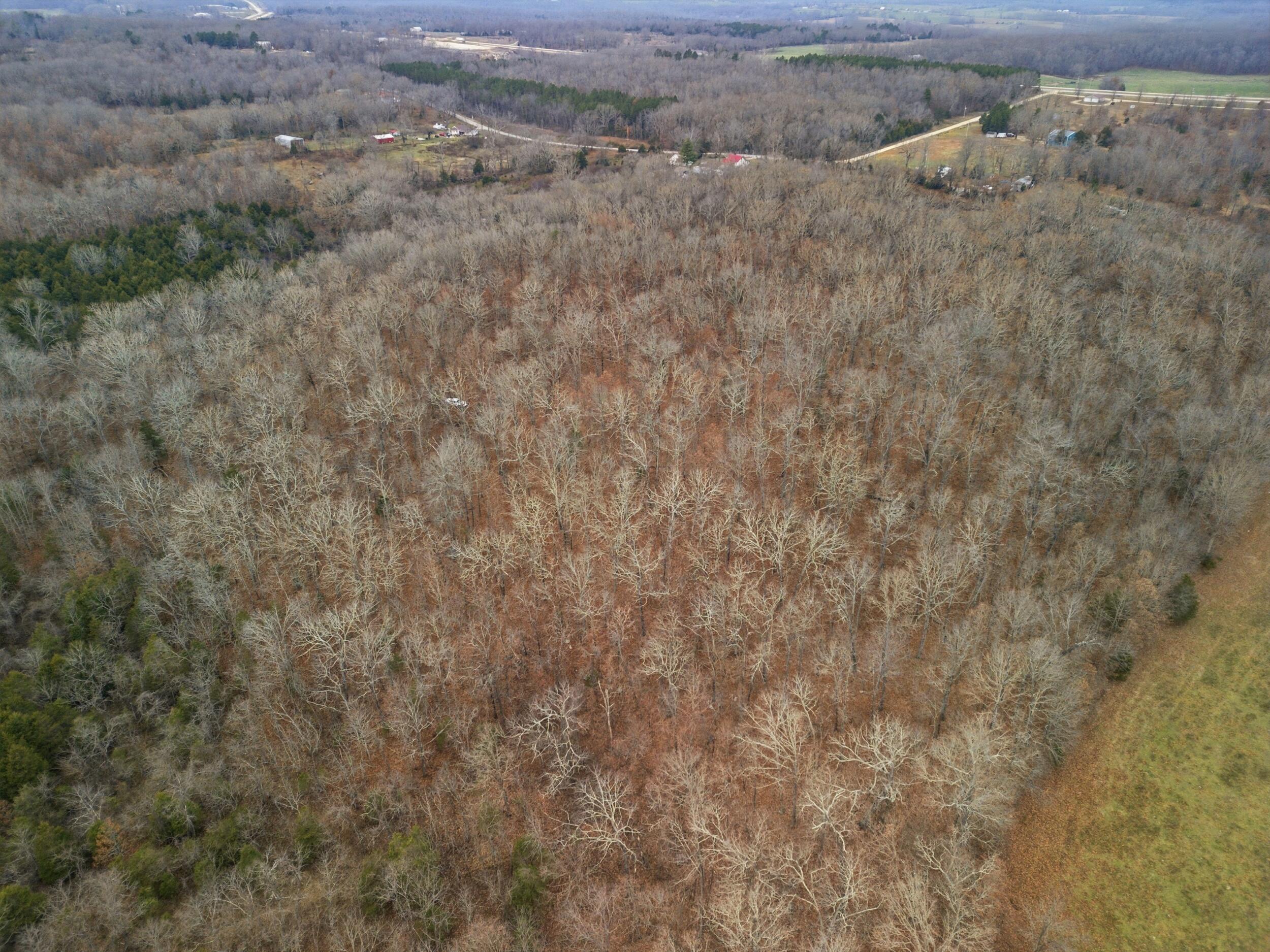 Tbd Old Highway 60 Property Photo 9