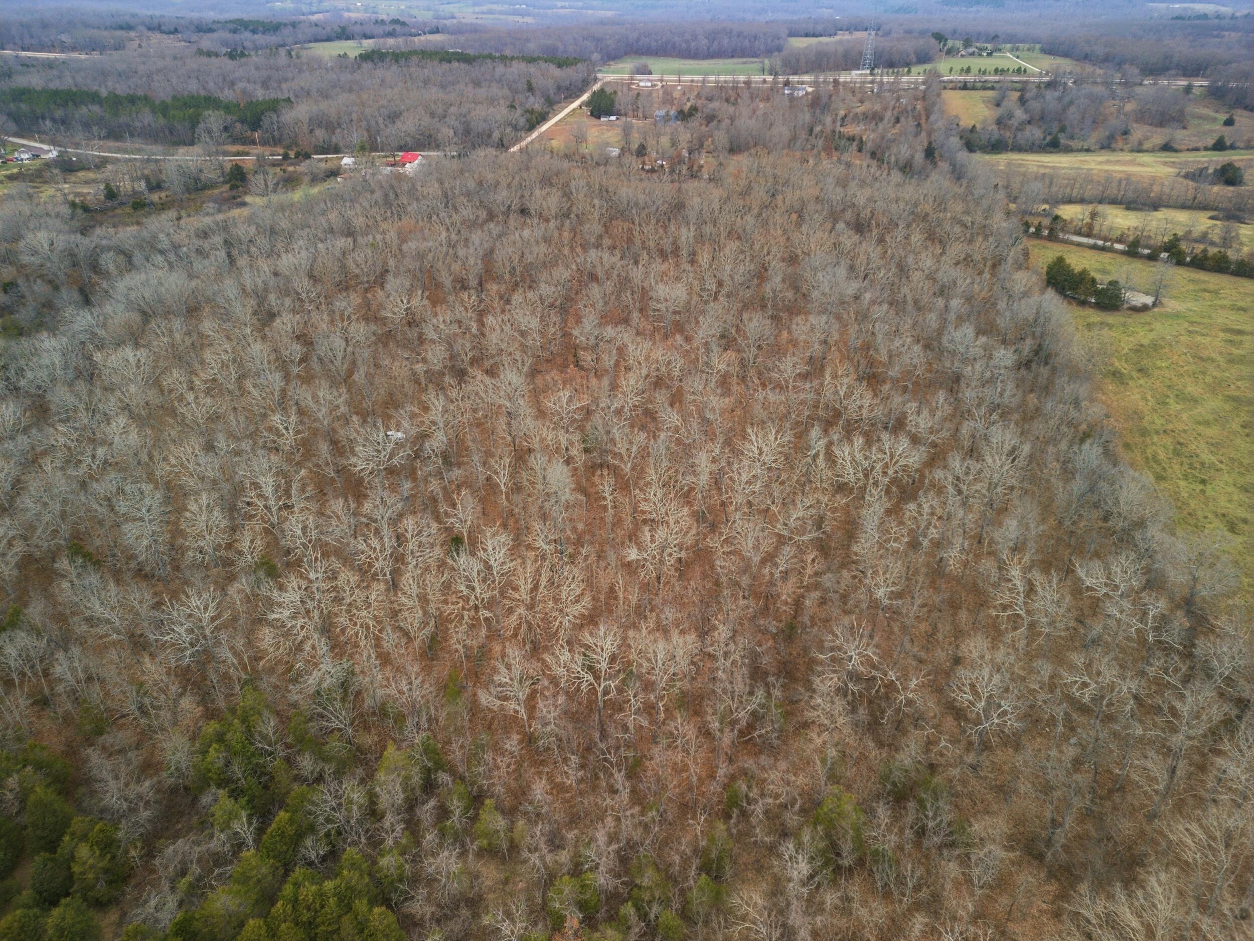 Tbd Old Highway 60 Property Photo 10