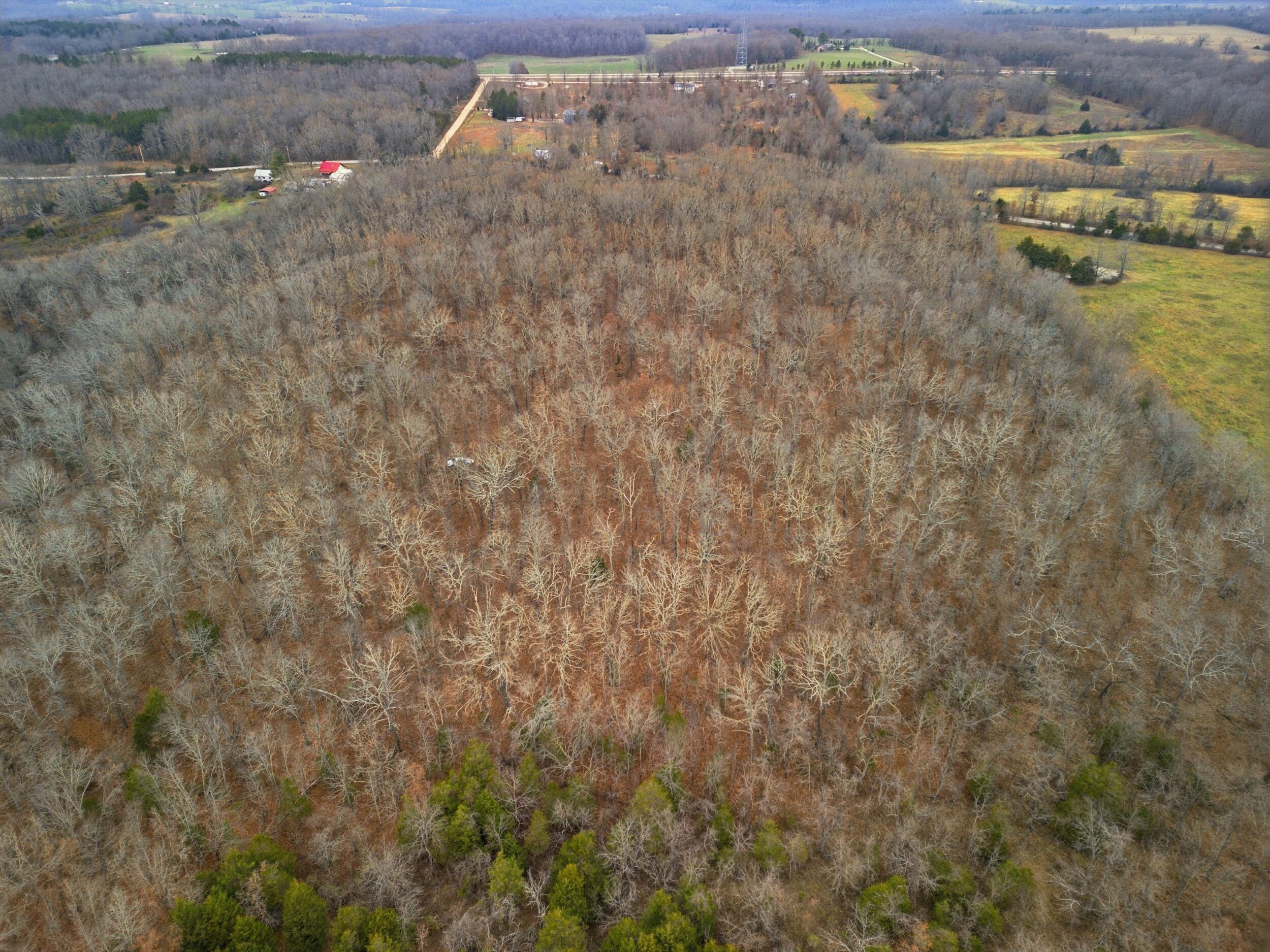 Tbd Old Highway 60 Property Photo 11