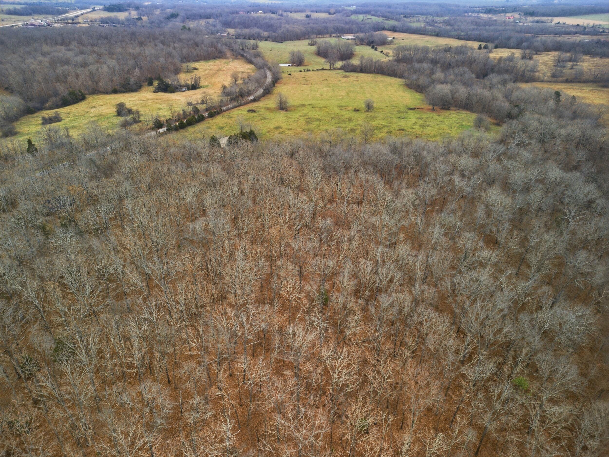 Tbd Old Highway 60 Property Photo 12