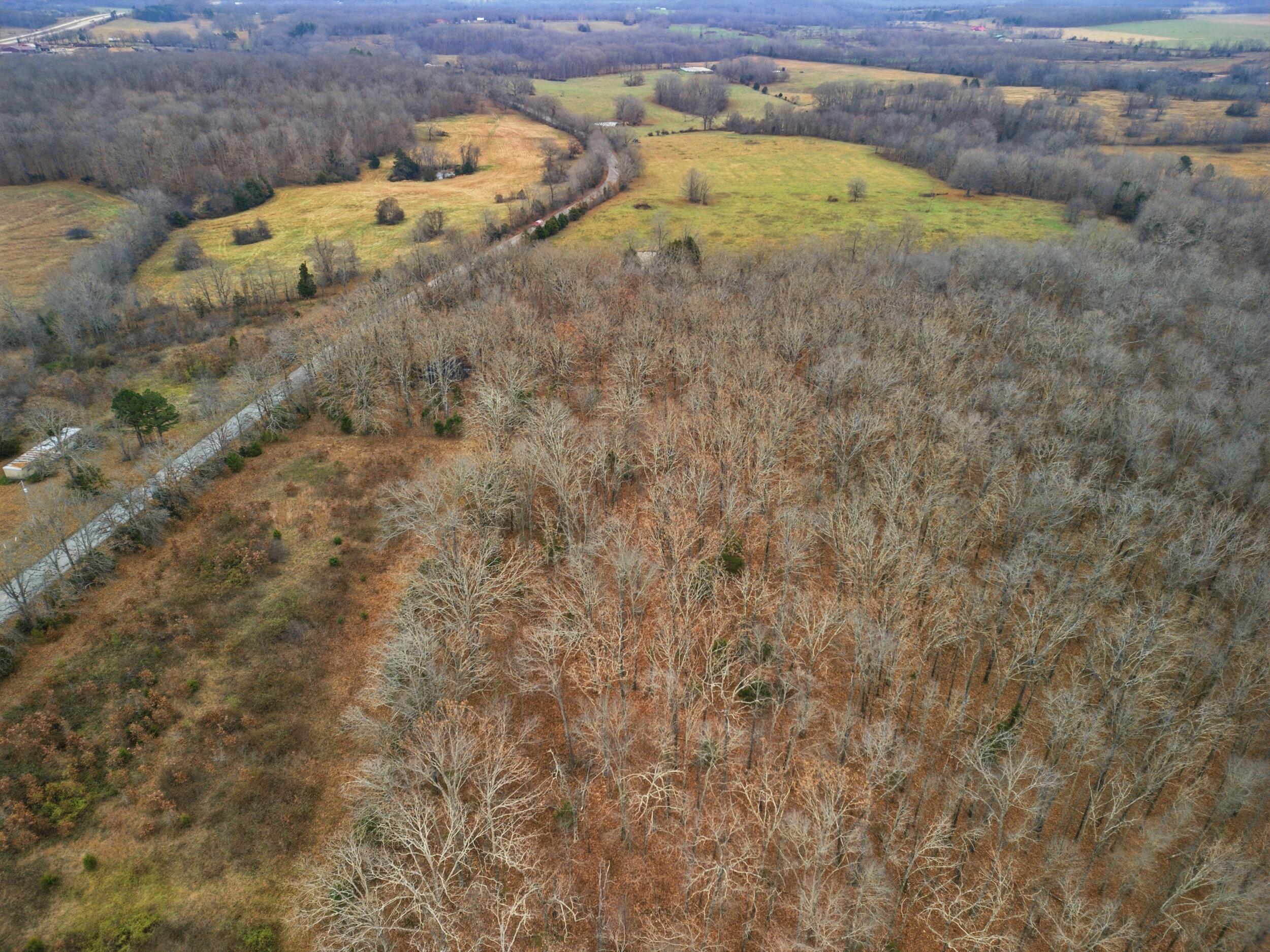 Tbd Old Highway 60 Property Photo 13