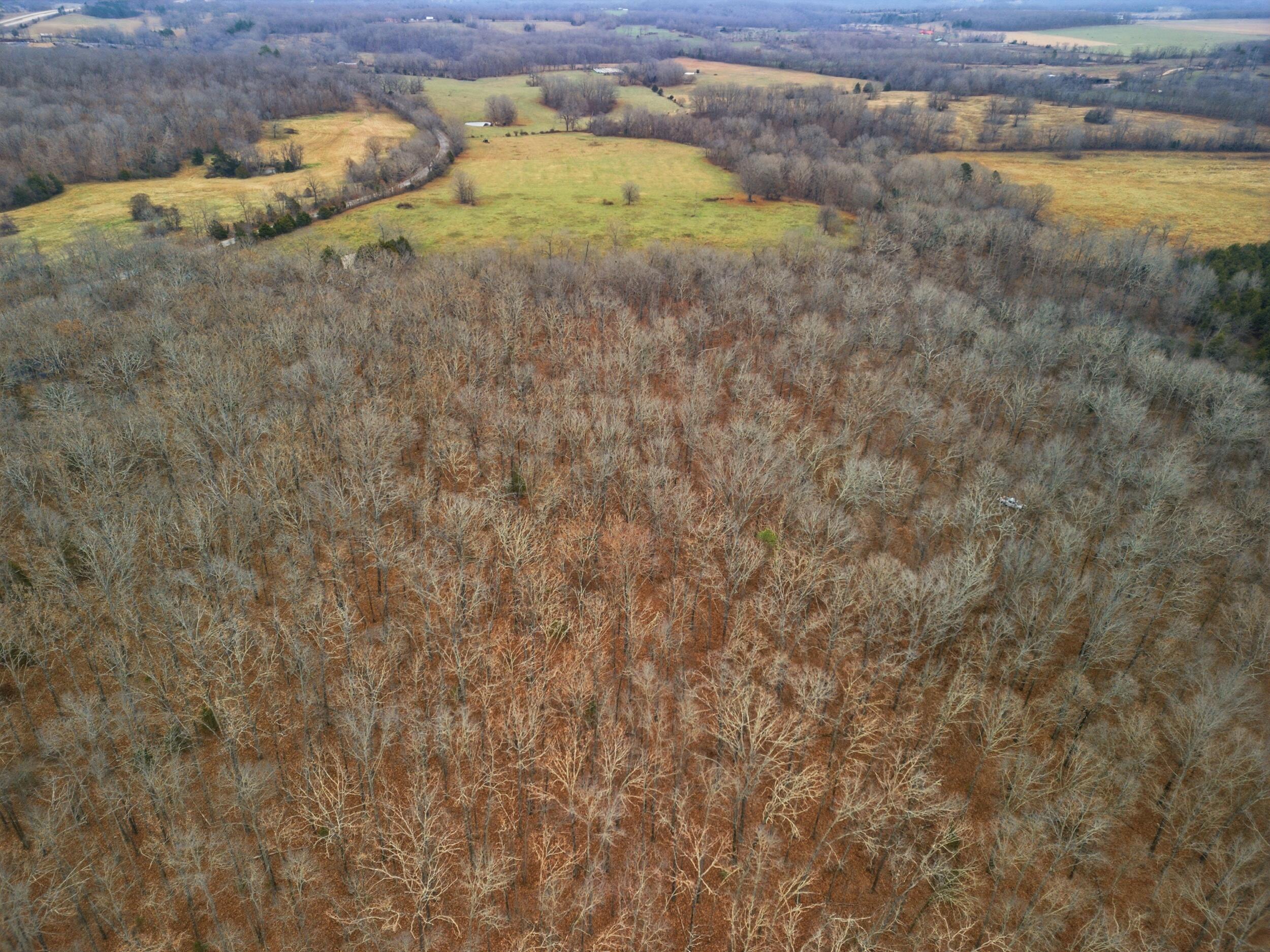 Tbd Old Highway 60 Property Photo 14