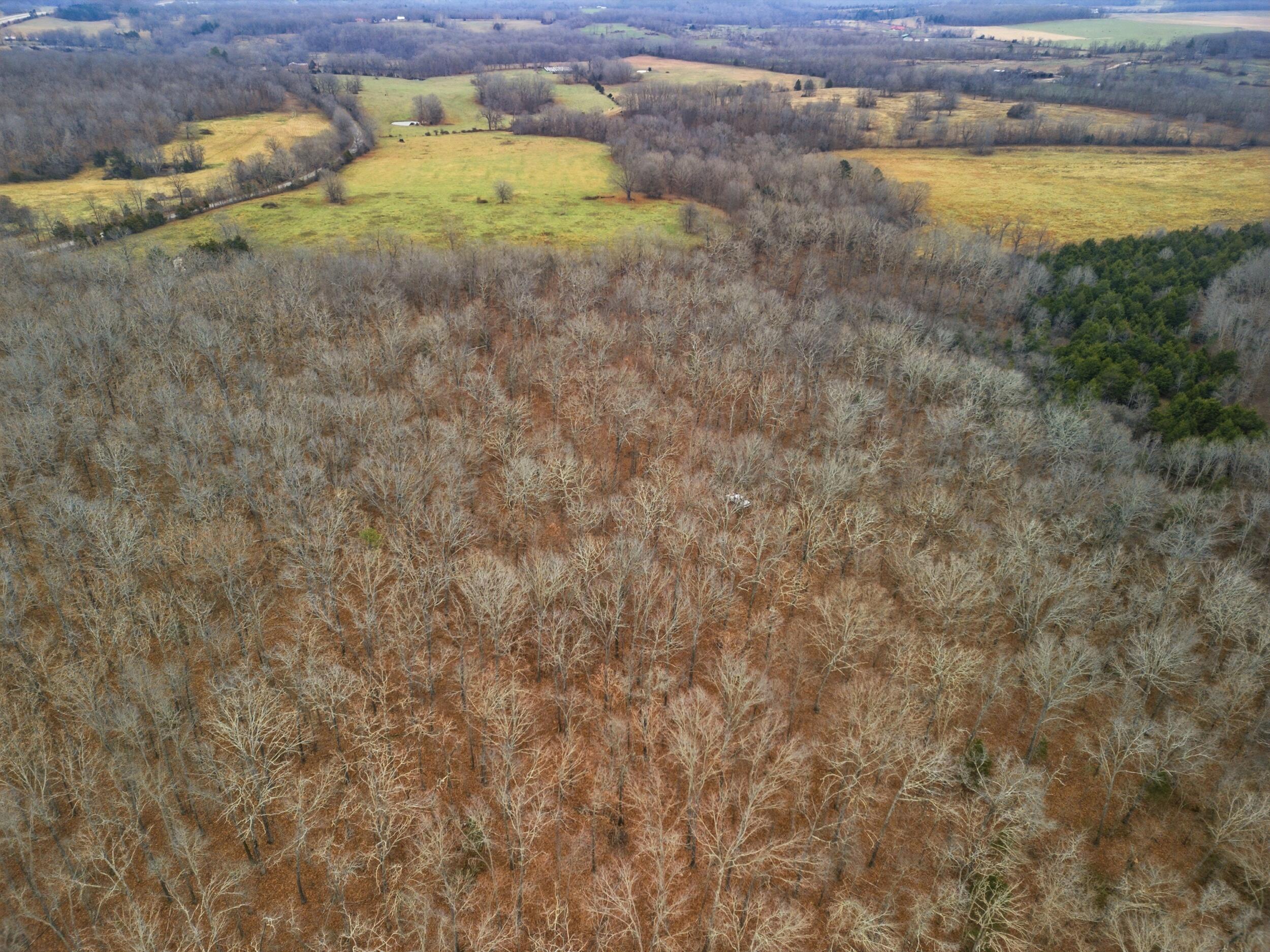 Tbd Old Highway 60 Property Photo 15