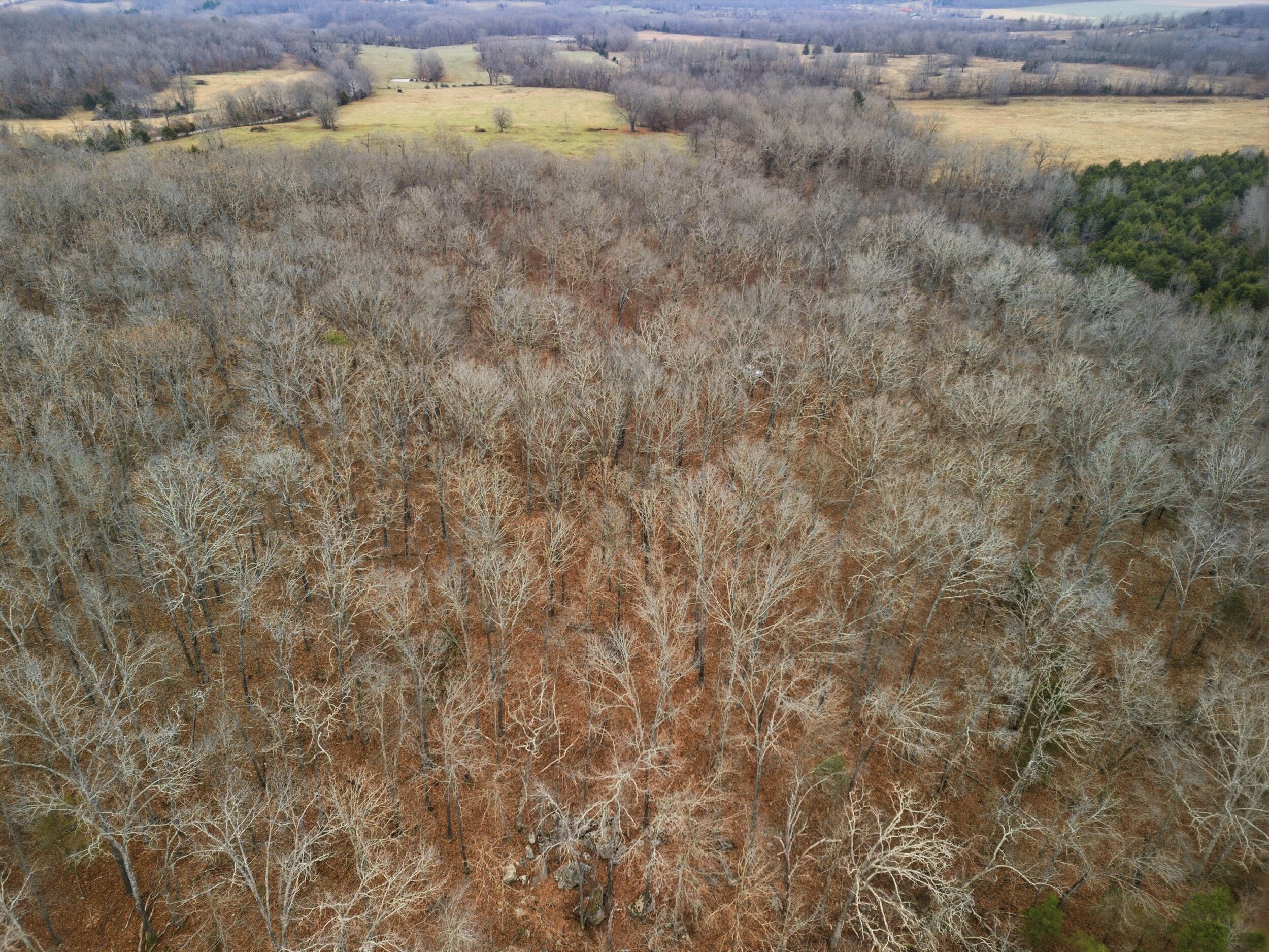Tbd Old Highway 60 Property Photo 16