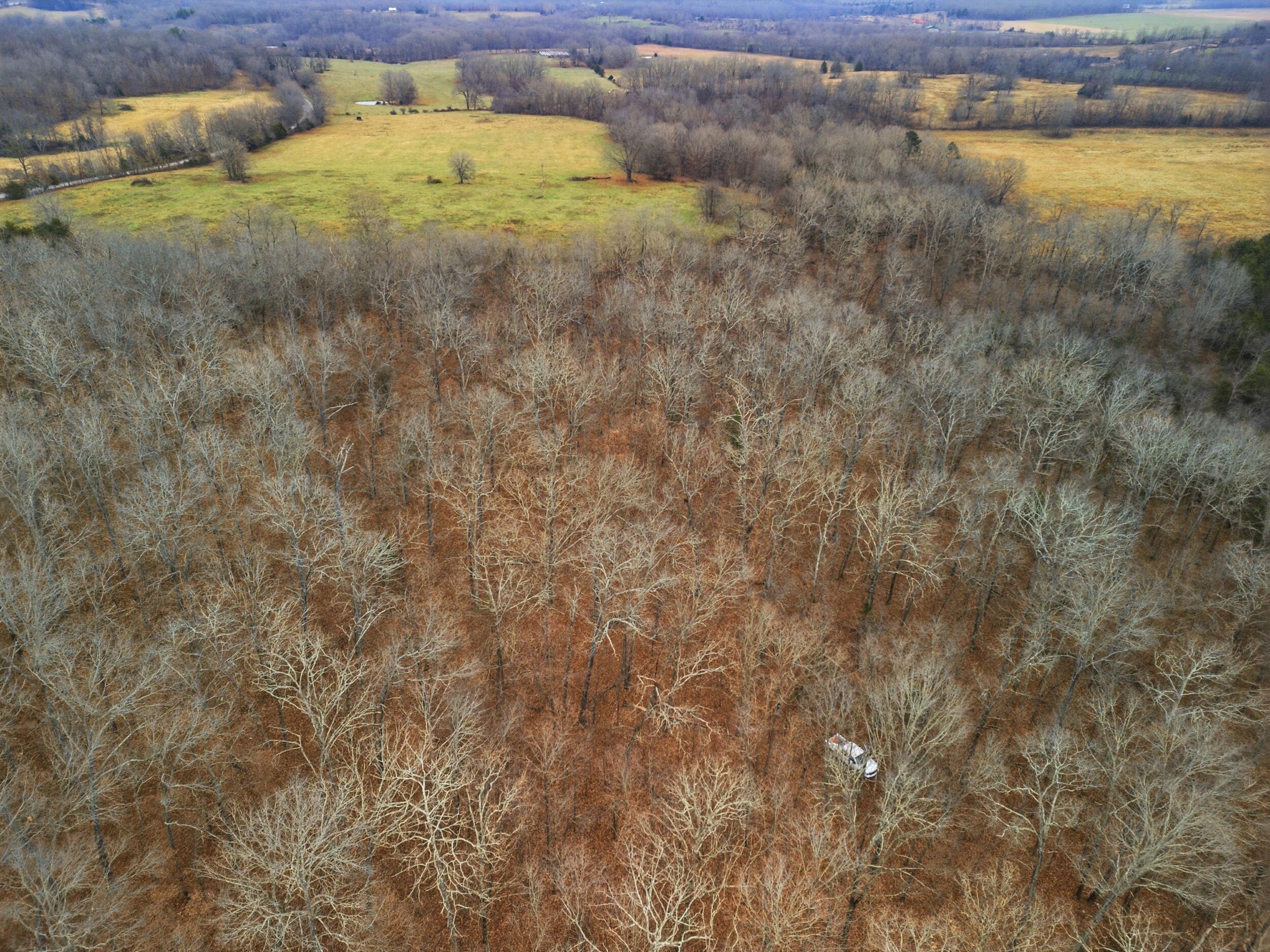 Tbd Old Highway 60 Property Photo 17