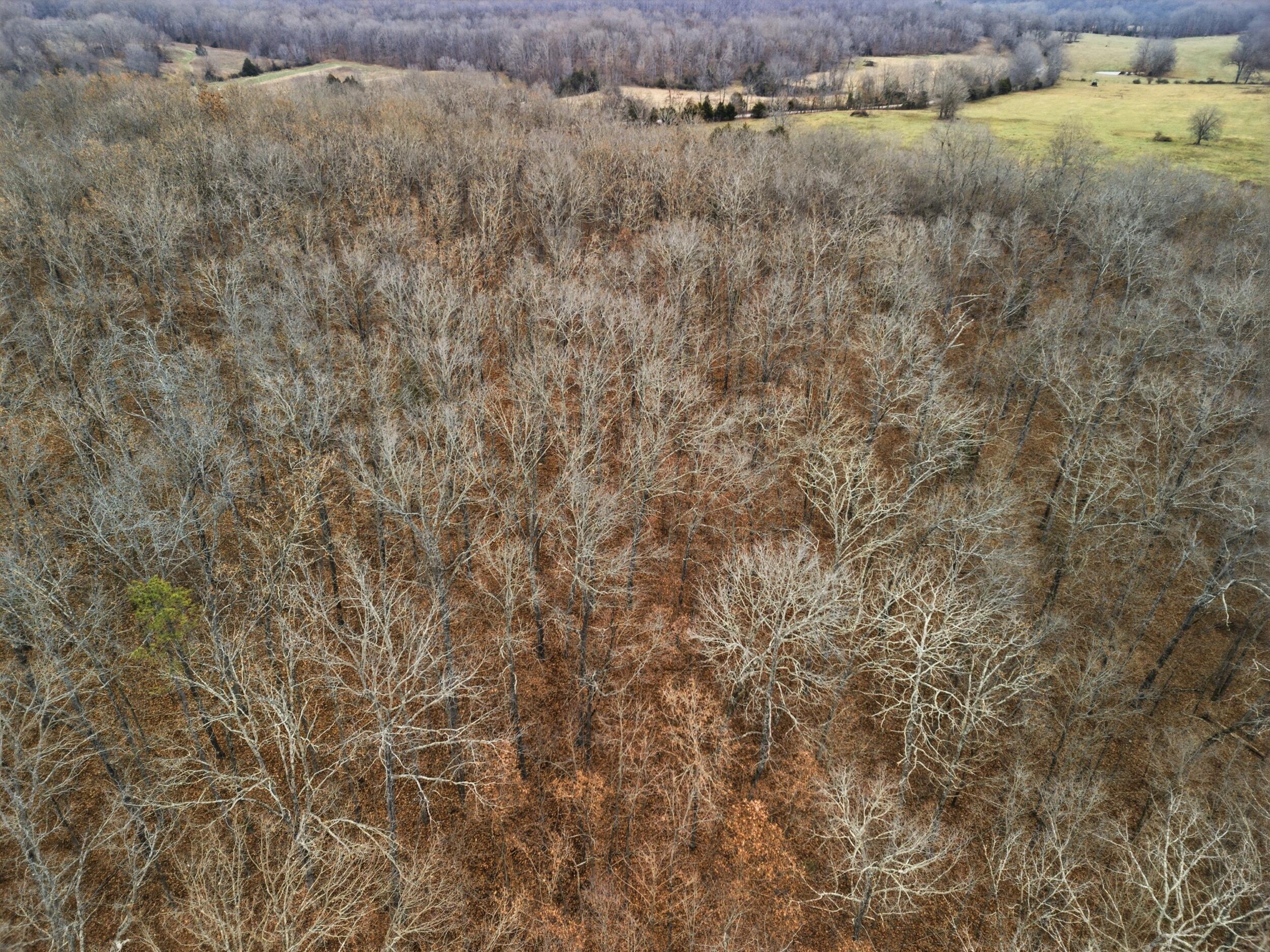 Tbd Old Highway 60 Property Photo 18