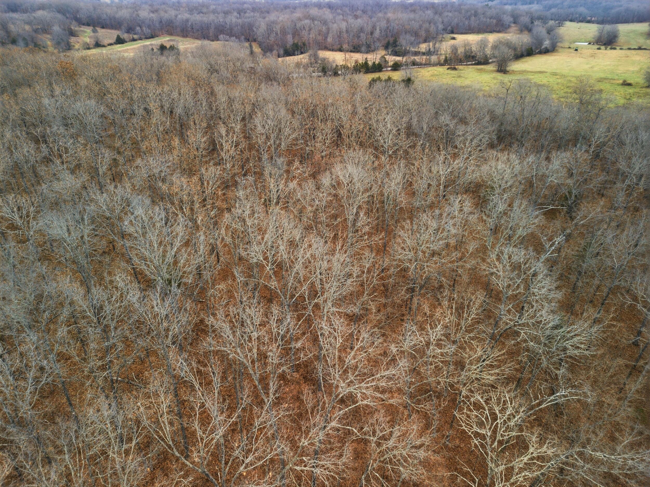 Tbd Old Highway 60 Property Photo 19