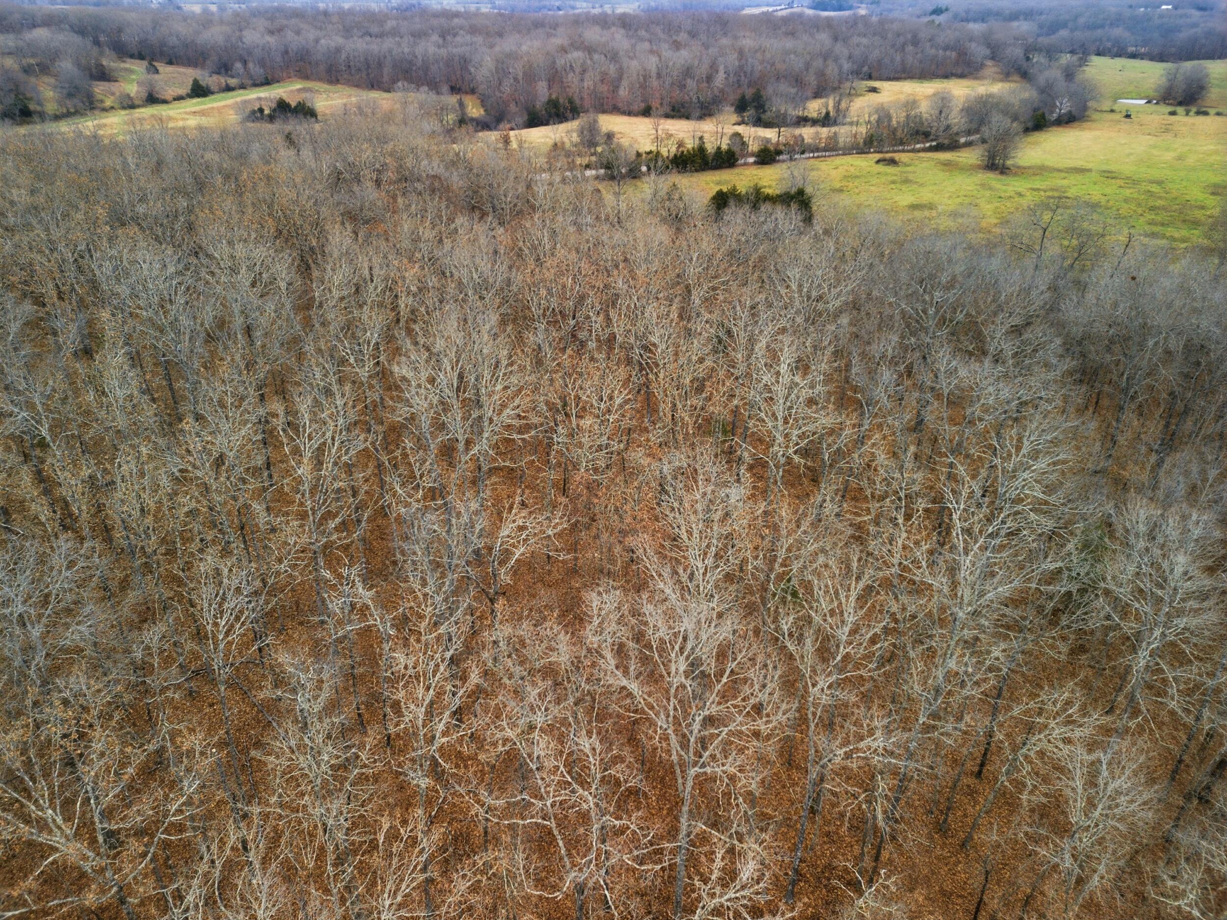 Tbd Old Highway 60 Property Photo 20
