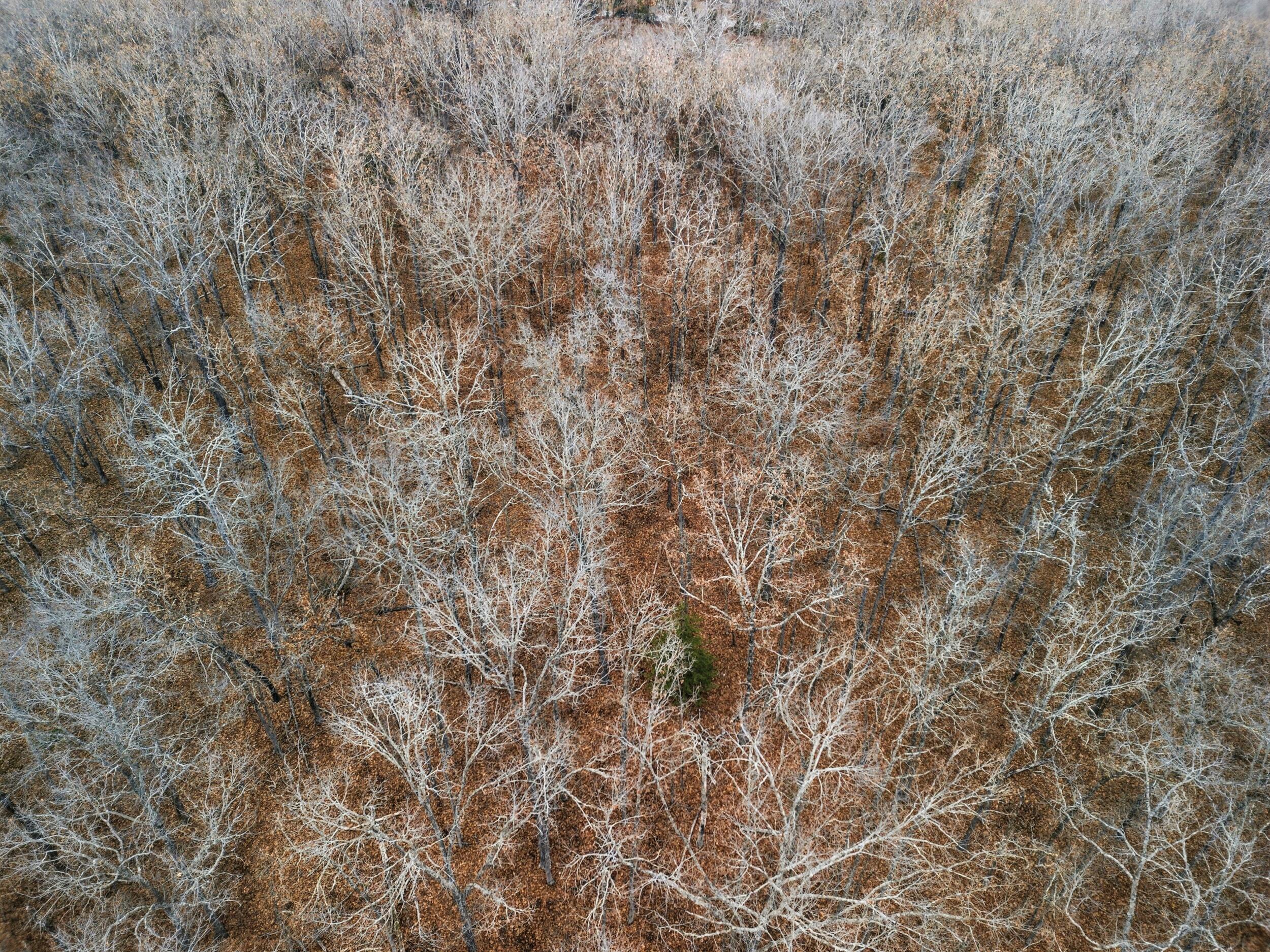 Tbd Old Highway 60 Property Photo 22
