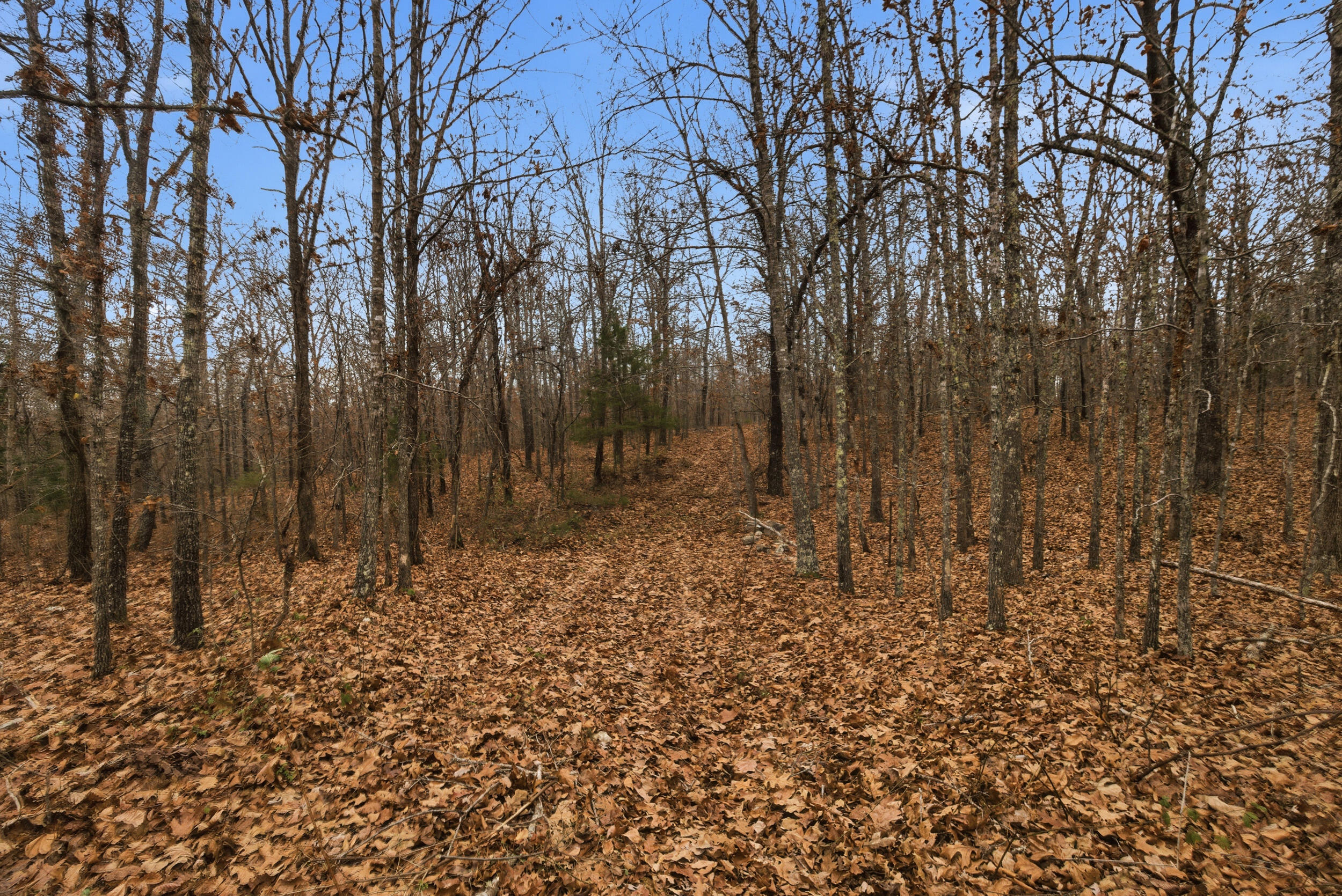 Tbd Old Highway 60 Property Photo 25