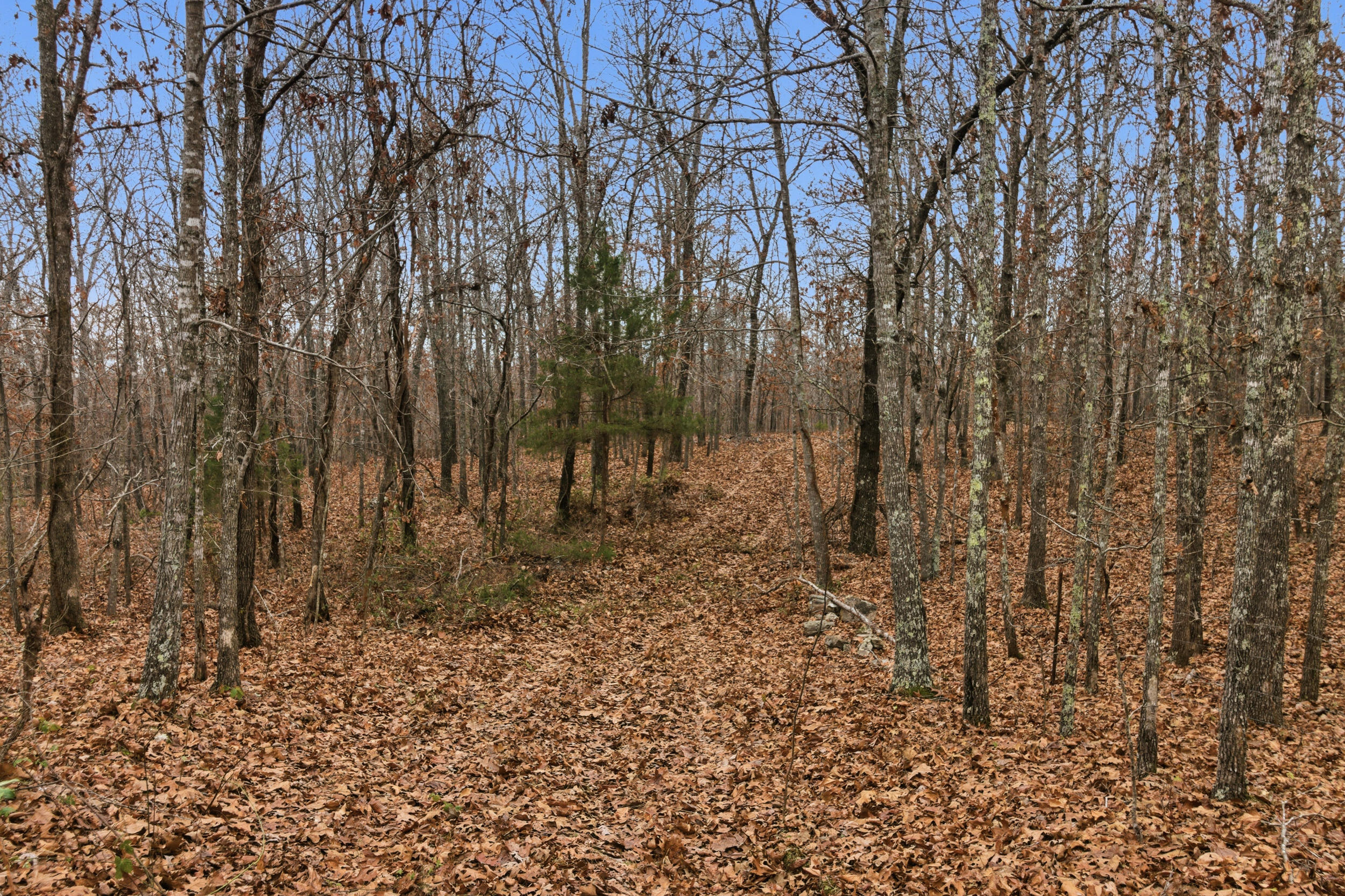 Tbd Old Highway 60 Property Photo 26
