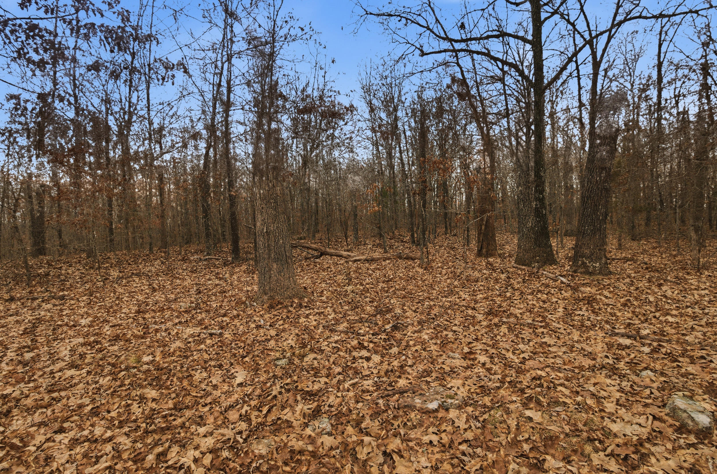 Tbd Old Highway 60 Property Photo 27