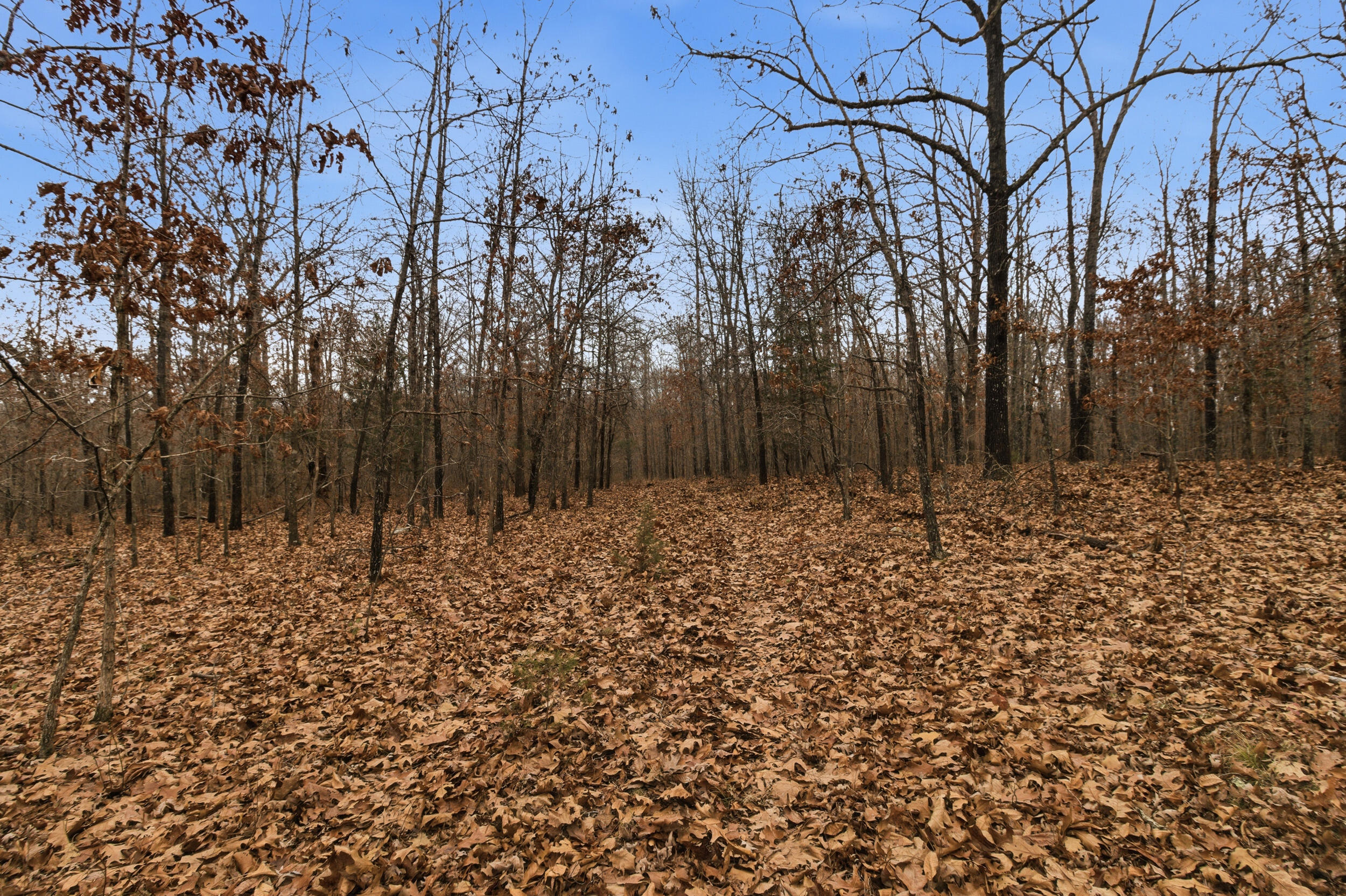 Tbd Old Highway 60 Property Photo 28