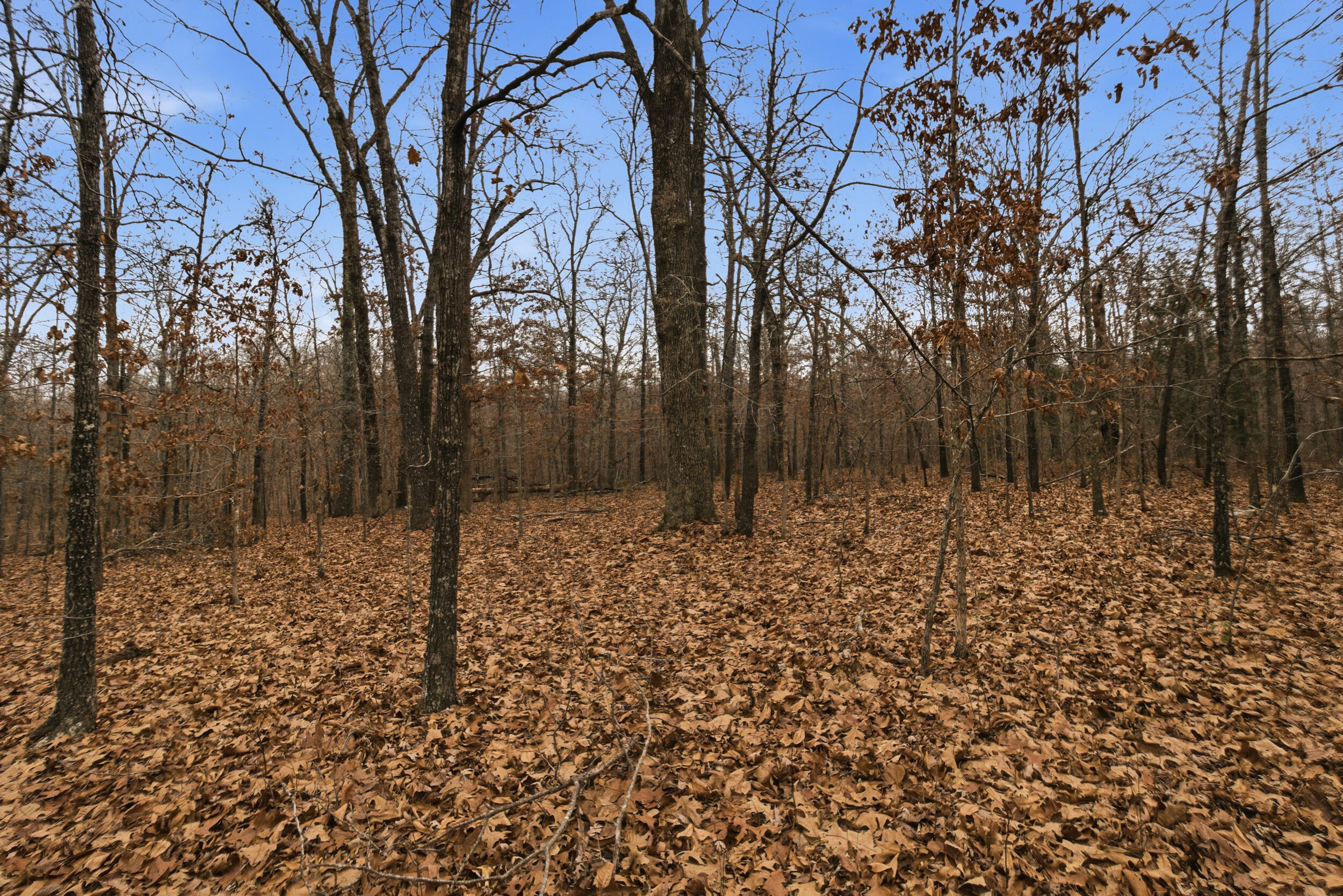 Tbd Old Highway 60 Property Photo 31