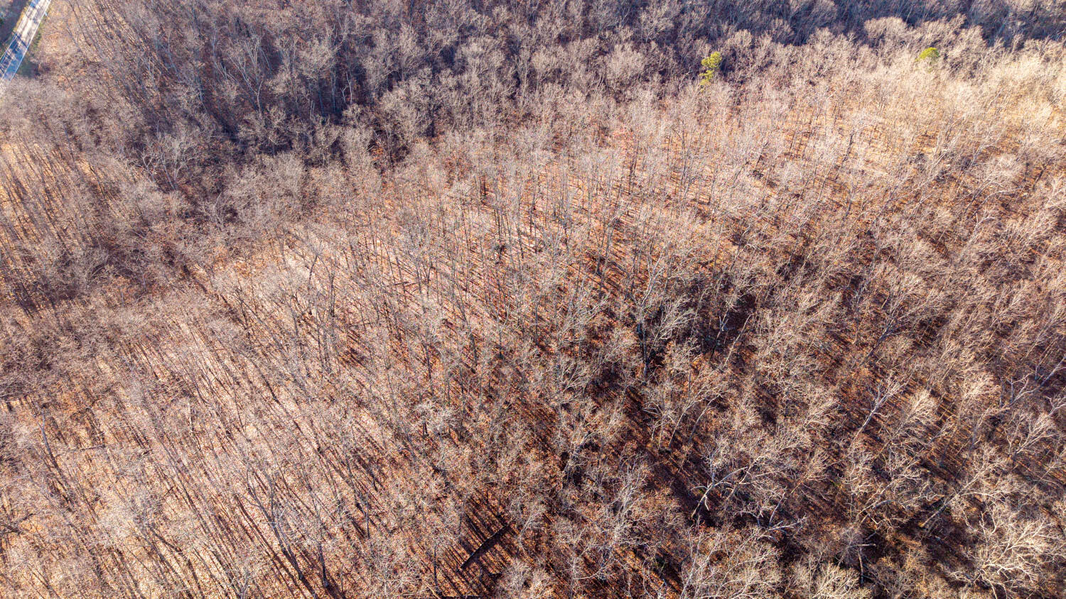000 State Highway 137 Property Photo 11