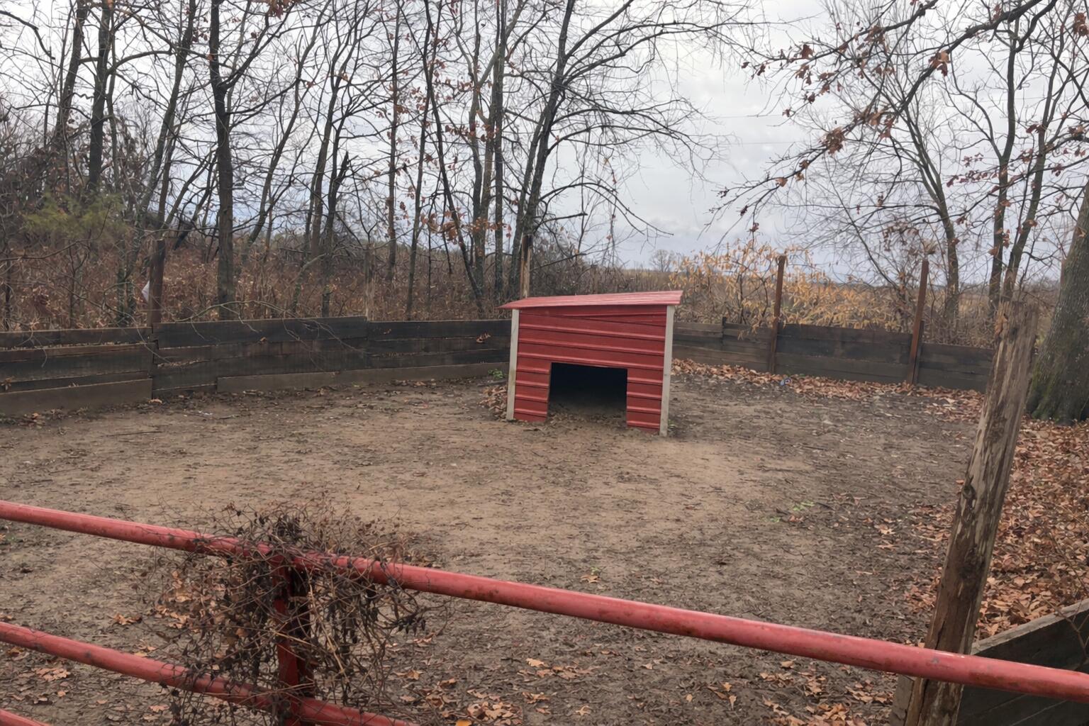 420 Dairy Road Property Photo 21