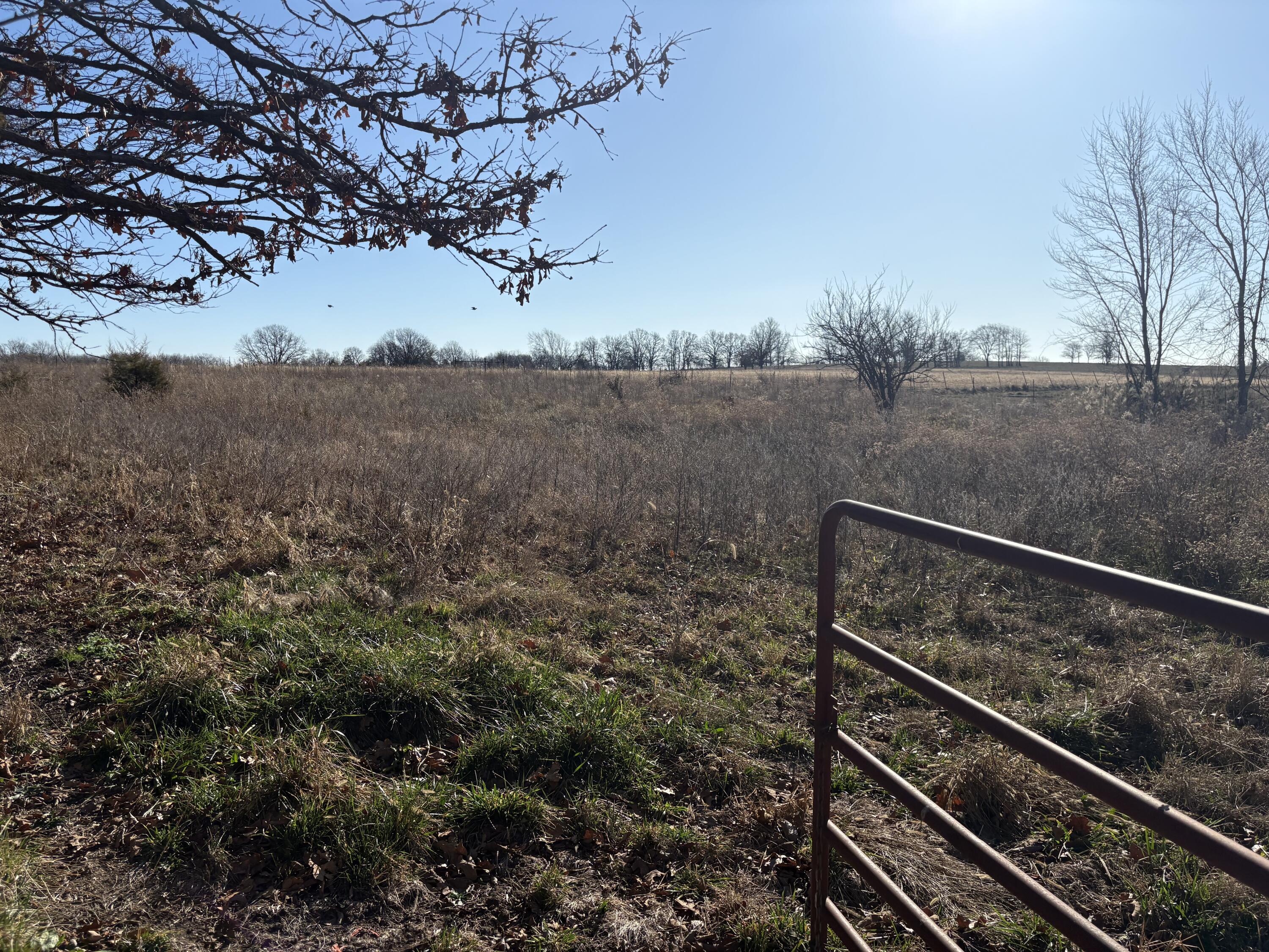 420 Dairy Road Property Photo 24