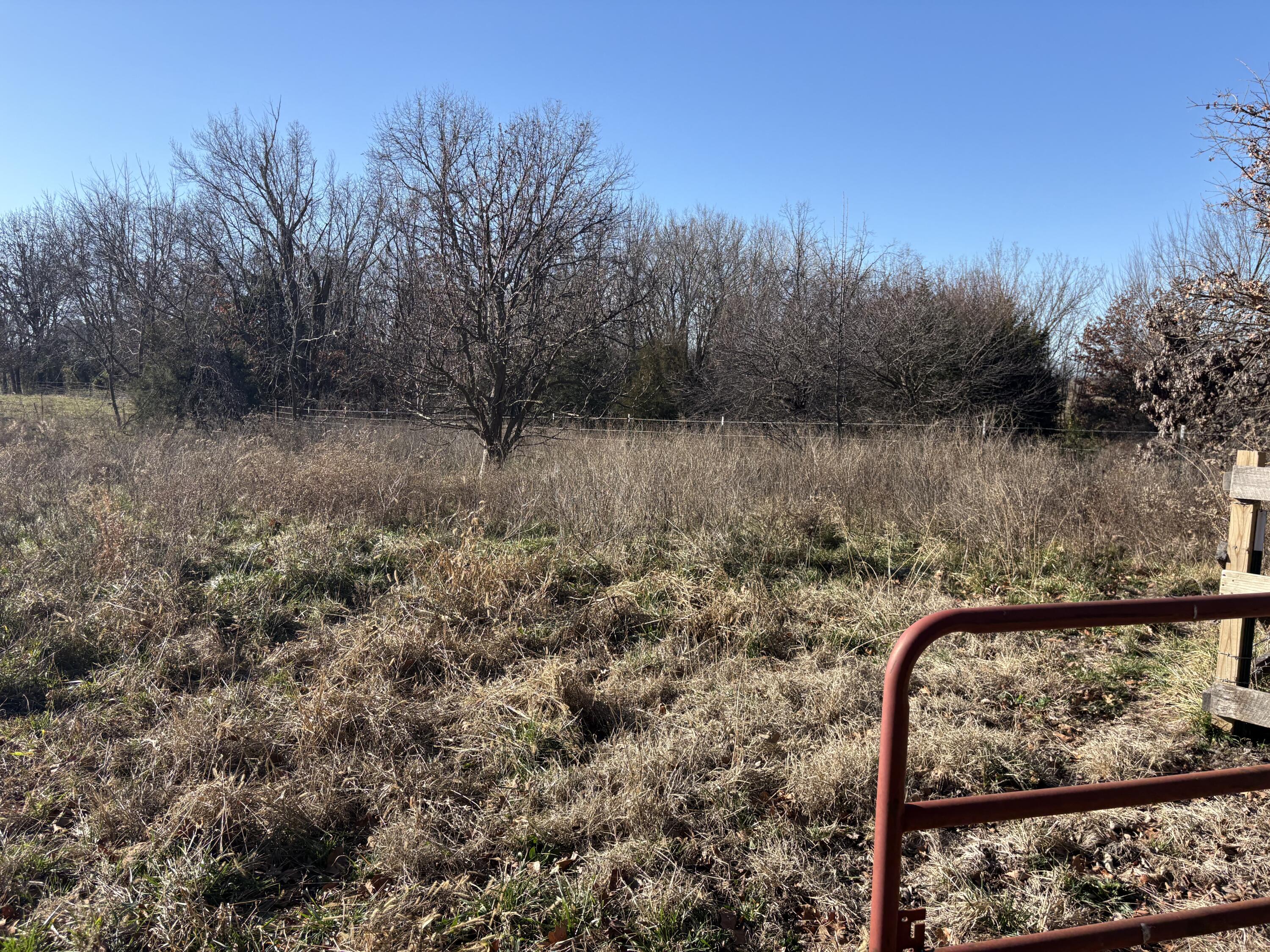 420 Dairy Road Property Photo 25