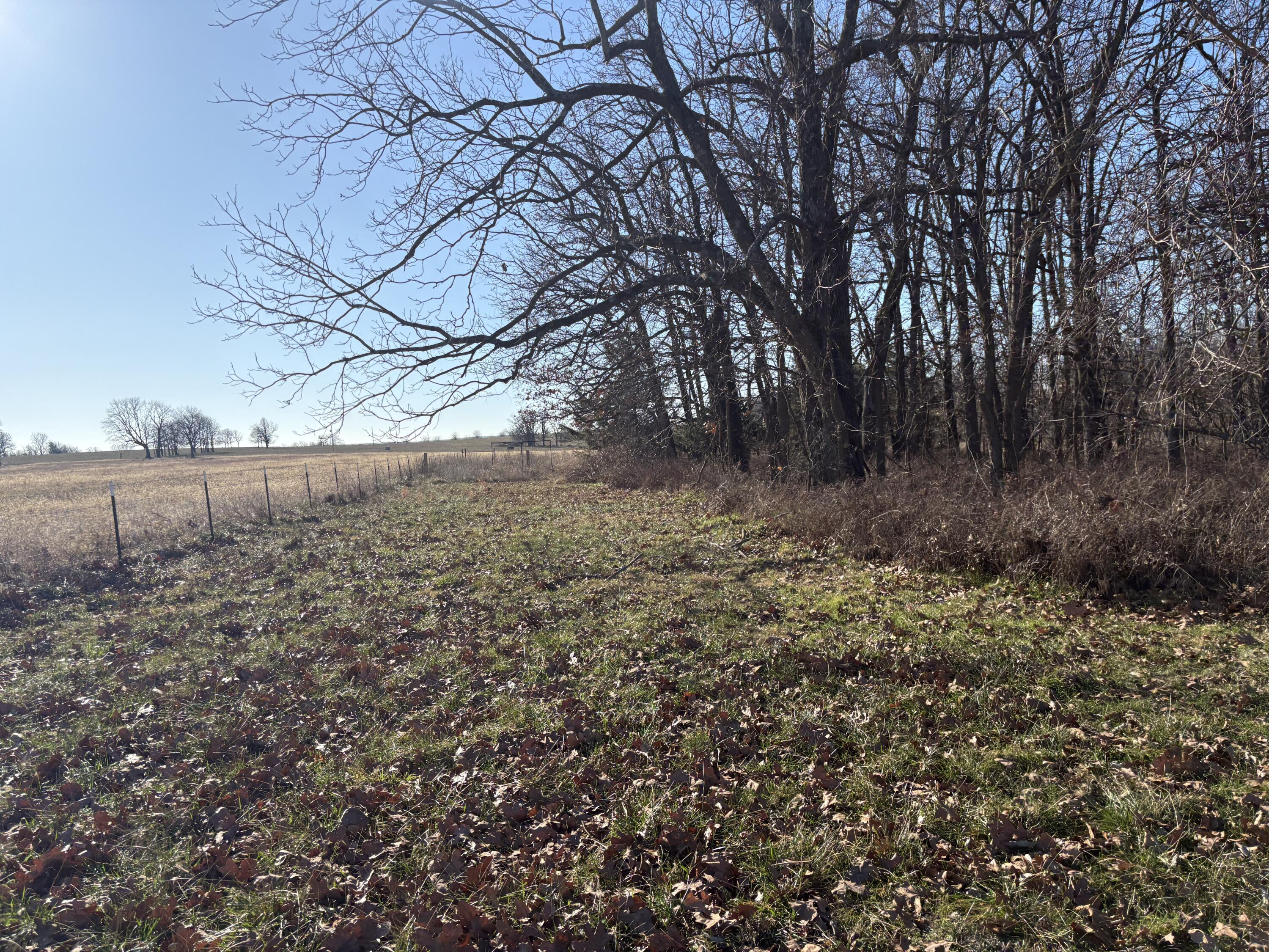 420 Dairy Road Property Photo 27