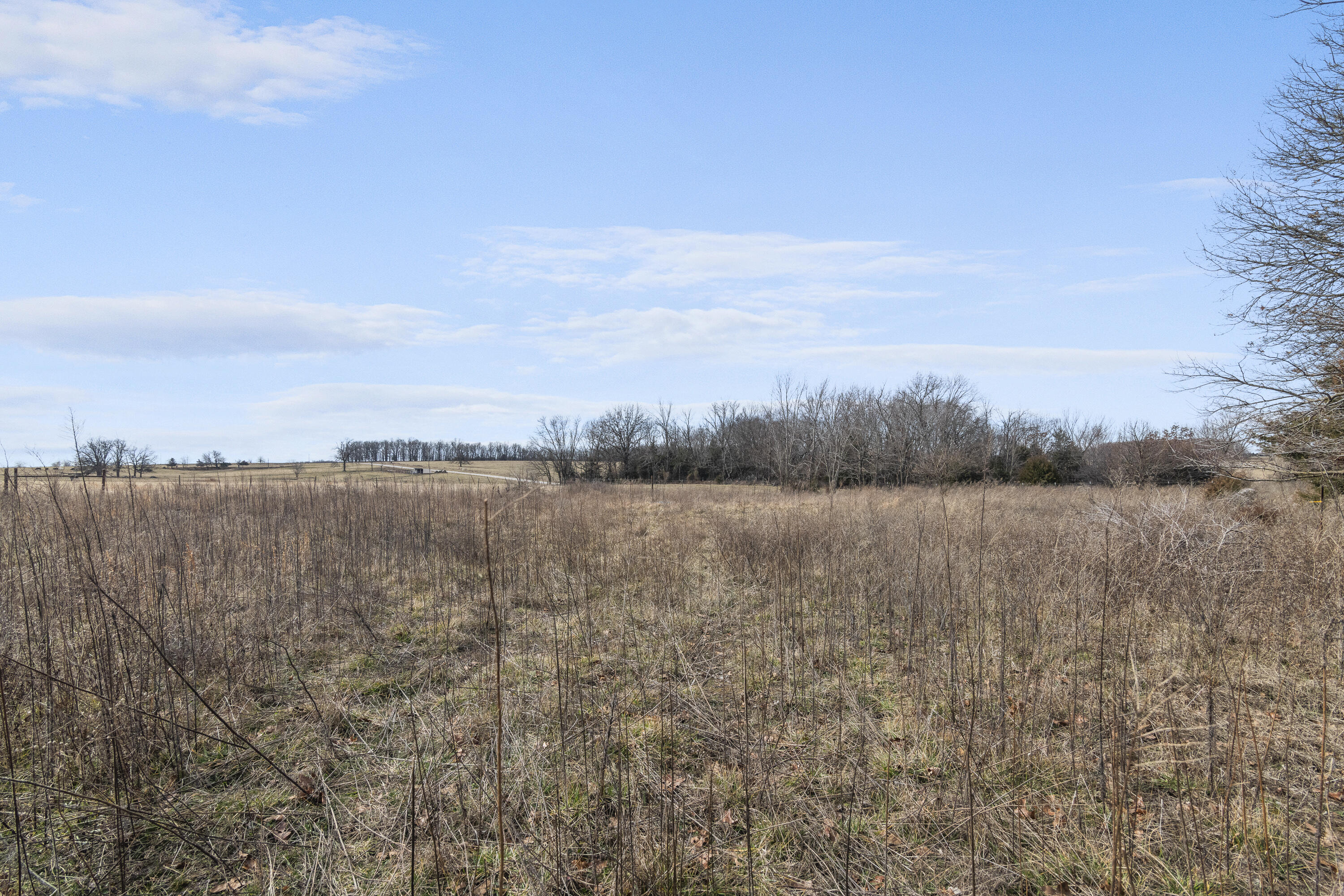 420 Dairy Road Property Photo 29