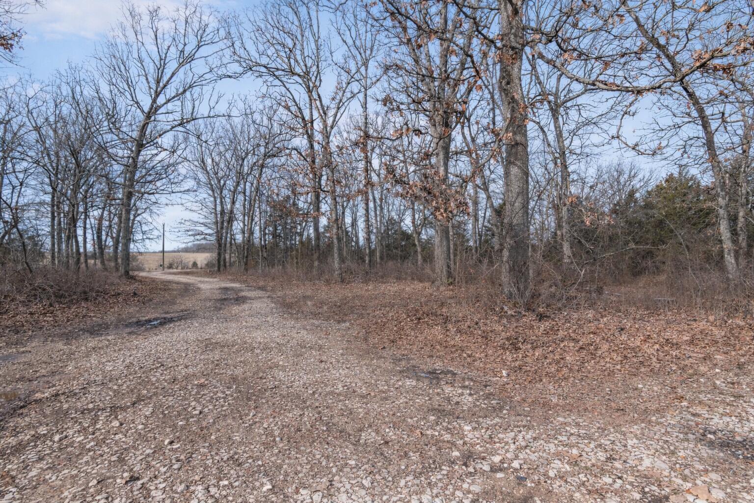 420 Dairy Road Property Photo 31