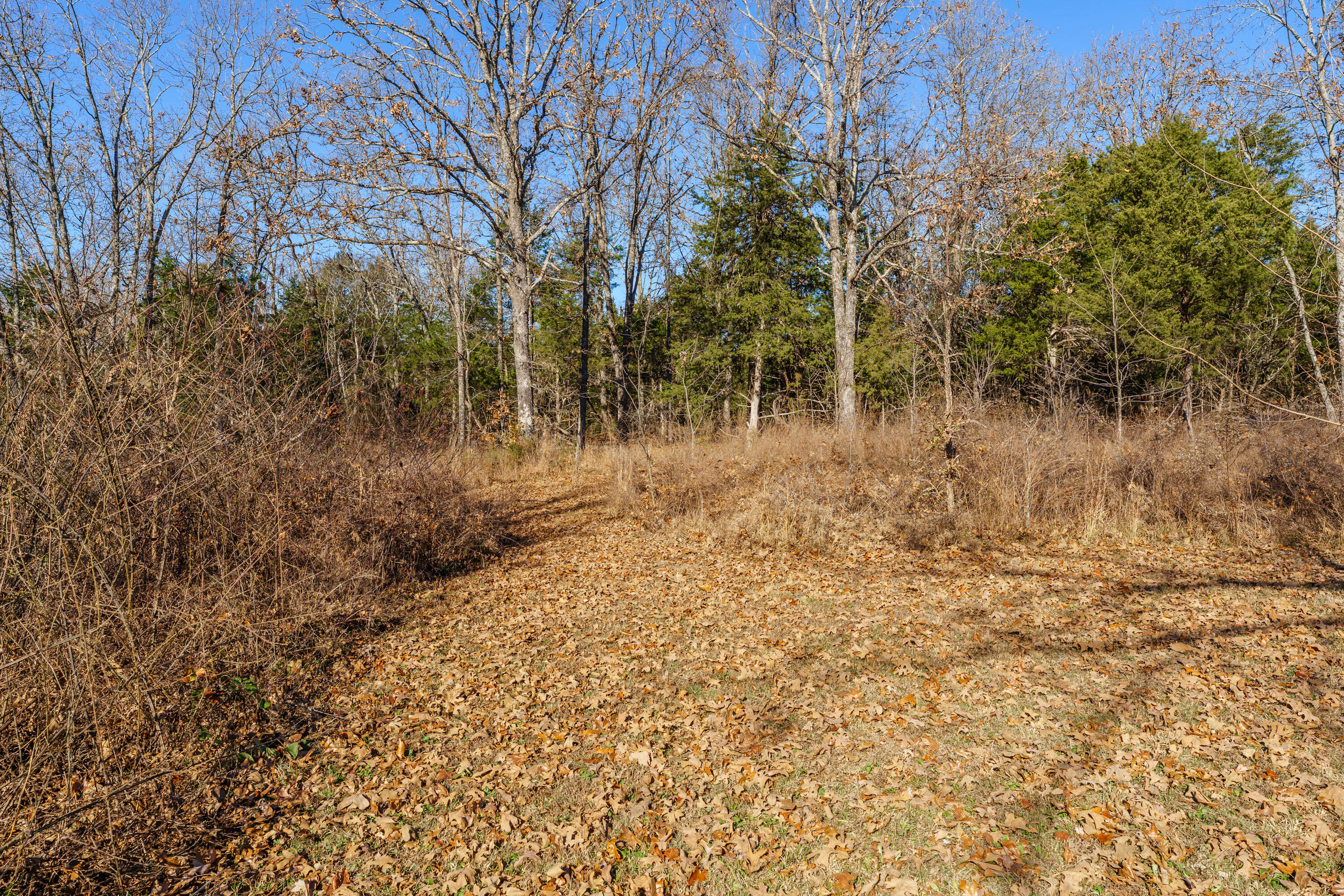 1511 State Highway U Property Photo 33