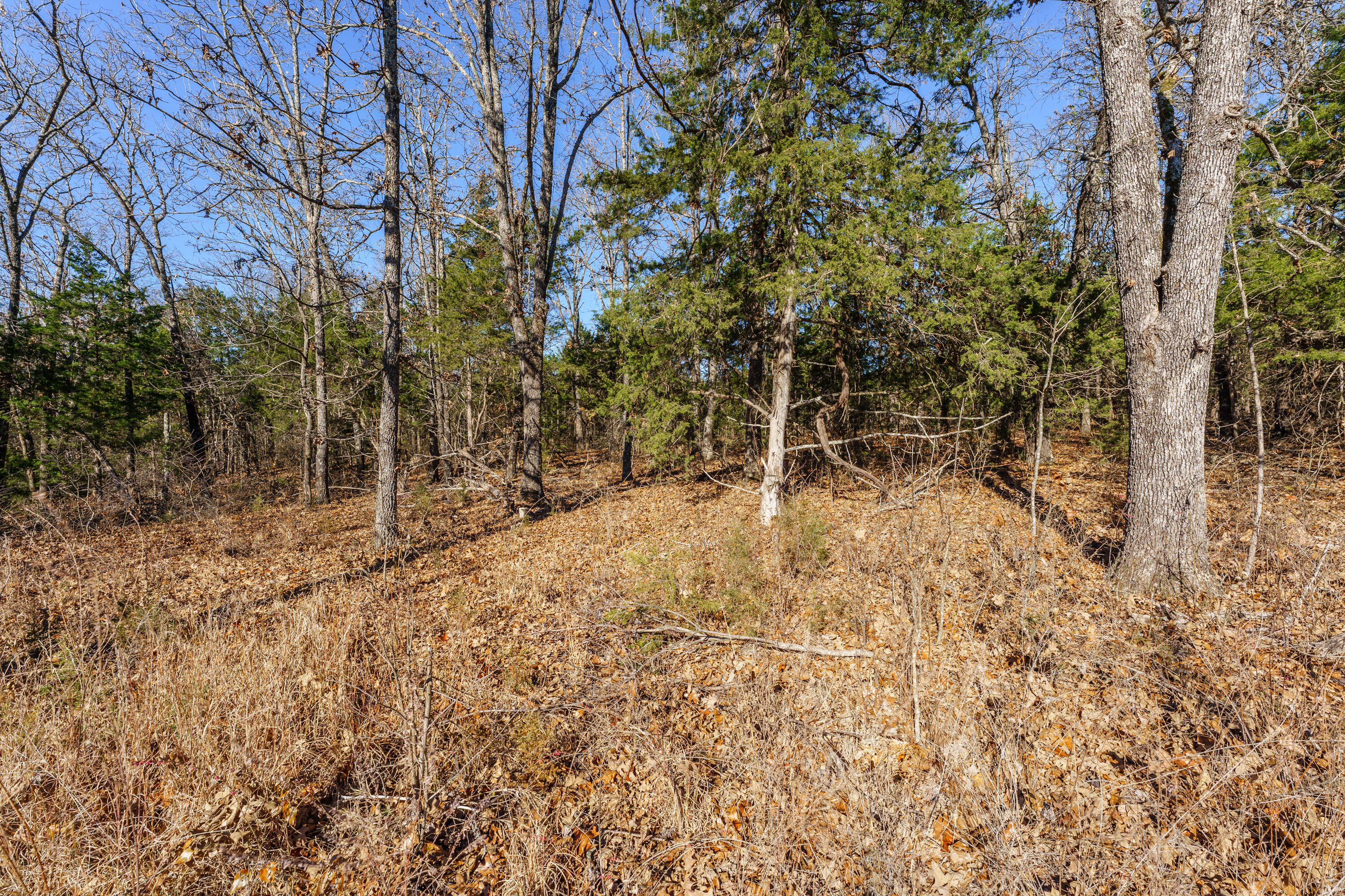 1511 State Highway U Property Photo 39