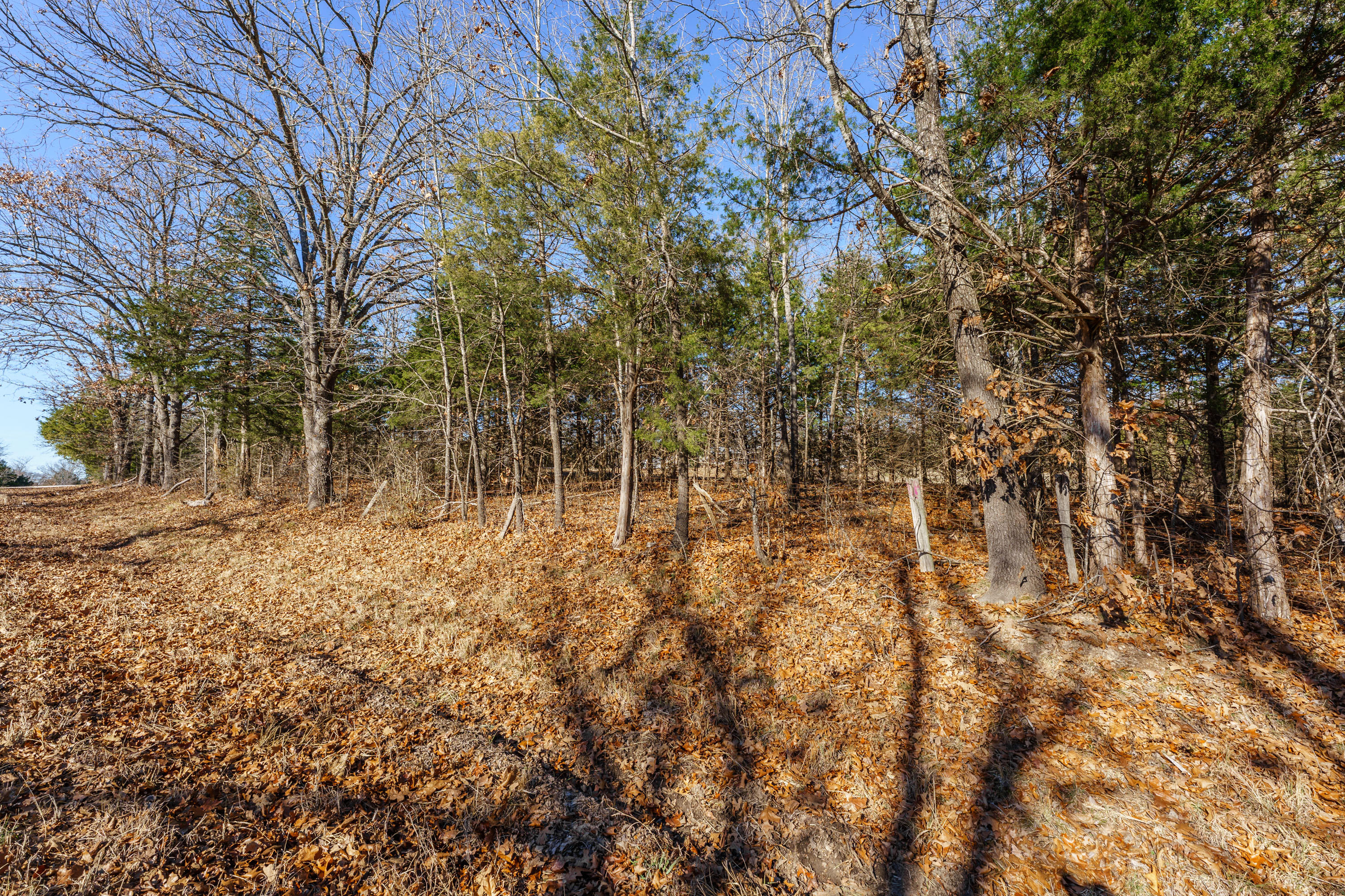 1511 State Highway U Property Photo 41
