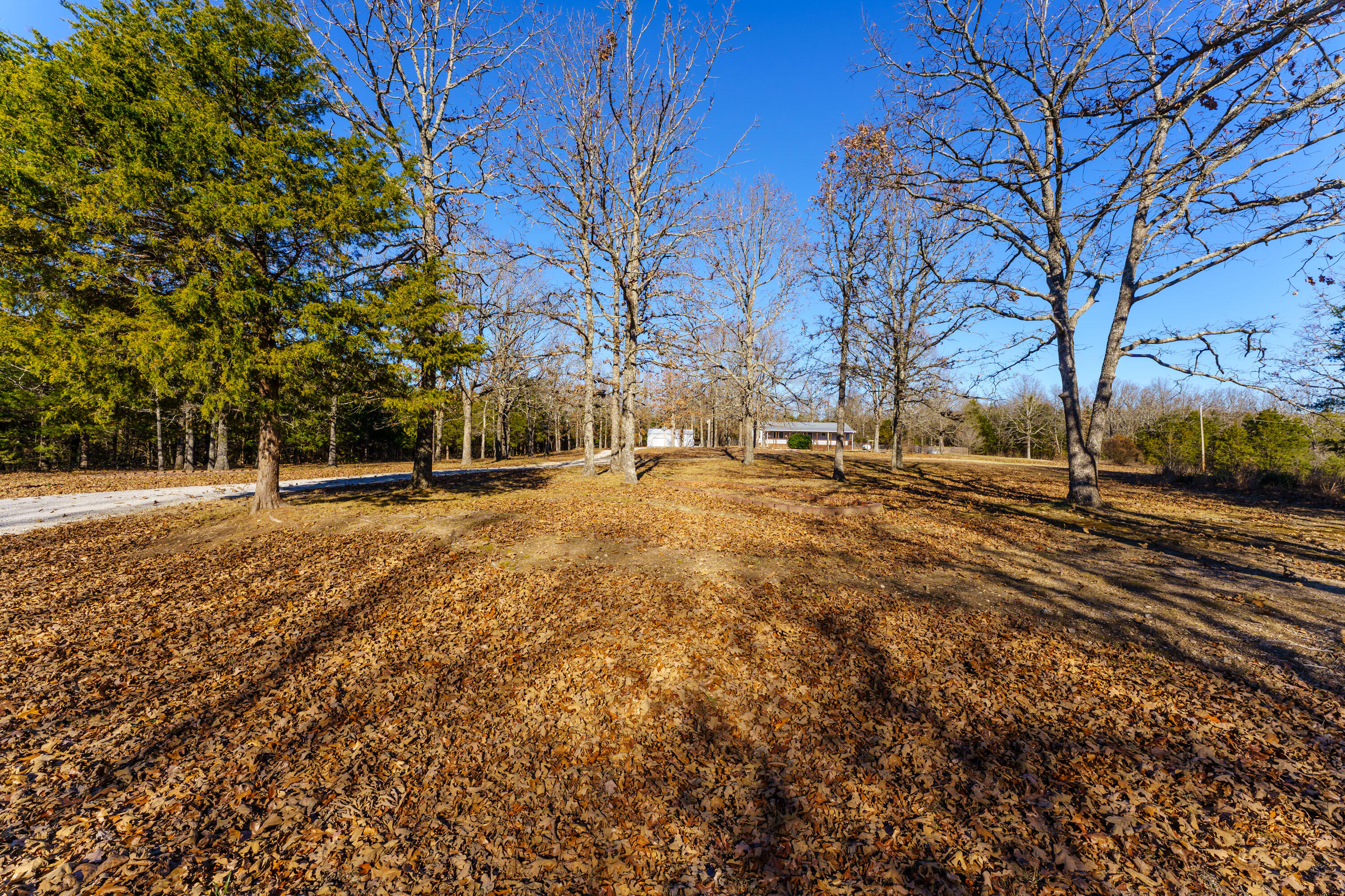 1511 State Highway U Property Photo 45