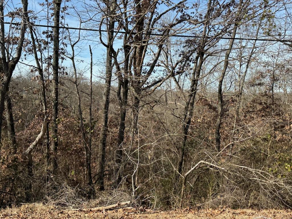 000 Highway 289 Street Property Photo 2