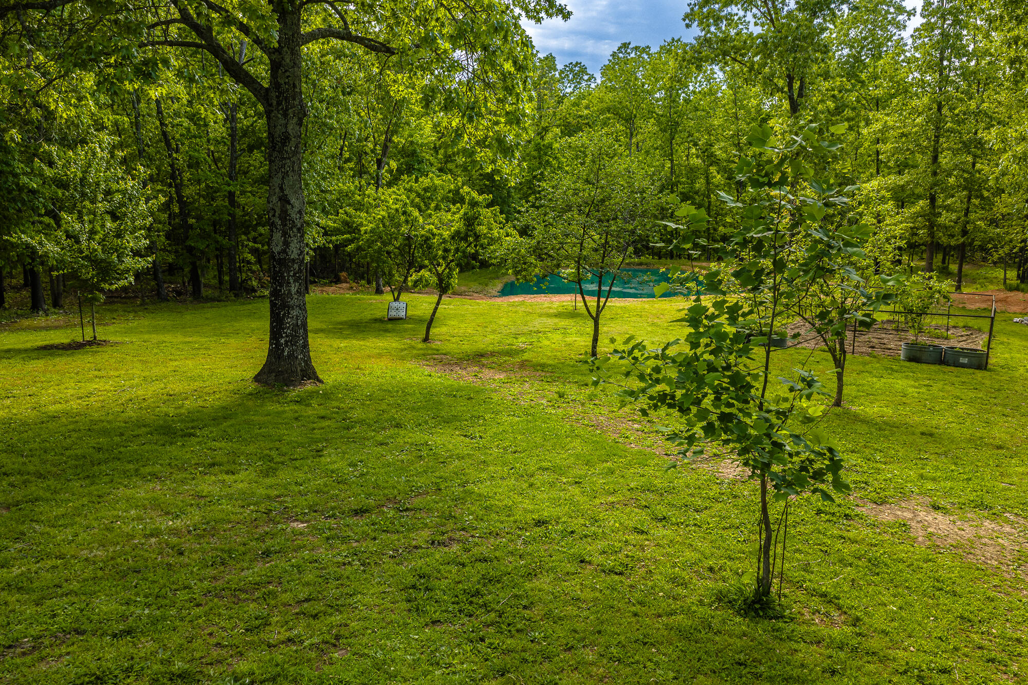 2291 Co Rd 2010 Property Photo 42