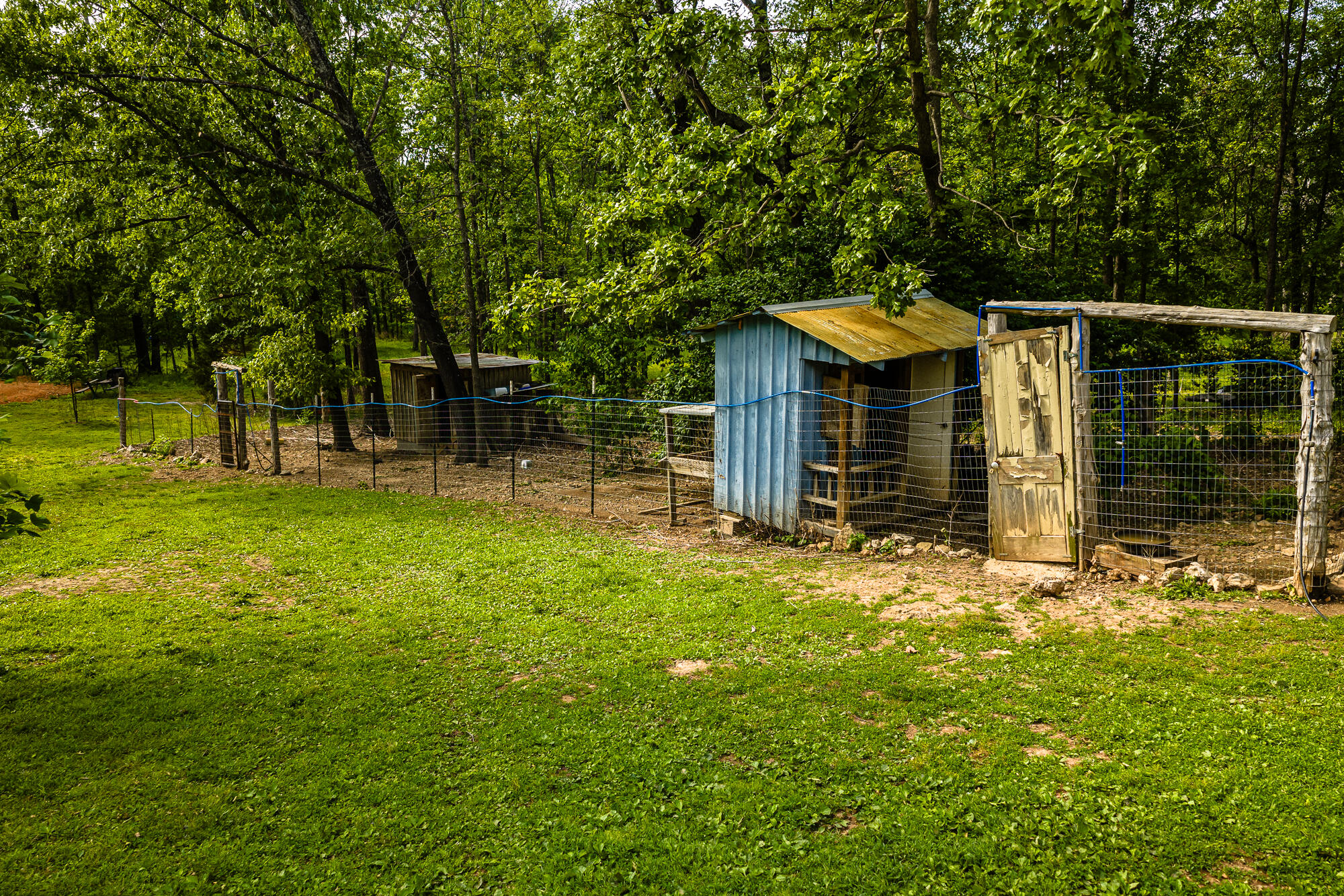 2291 Co Rd 2010 Property Photo 43