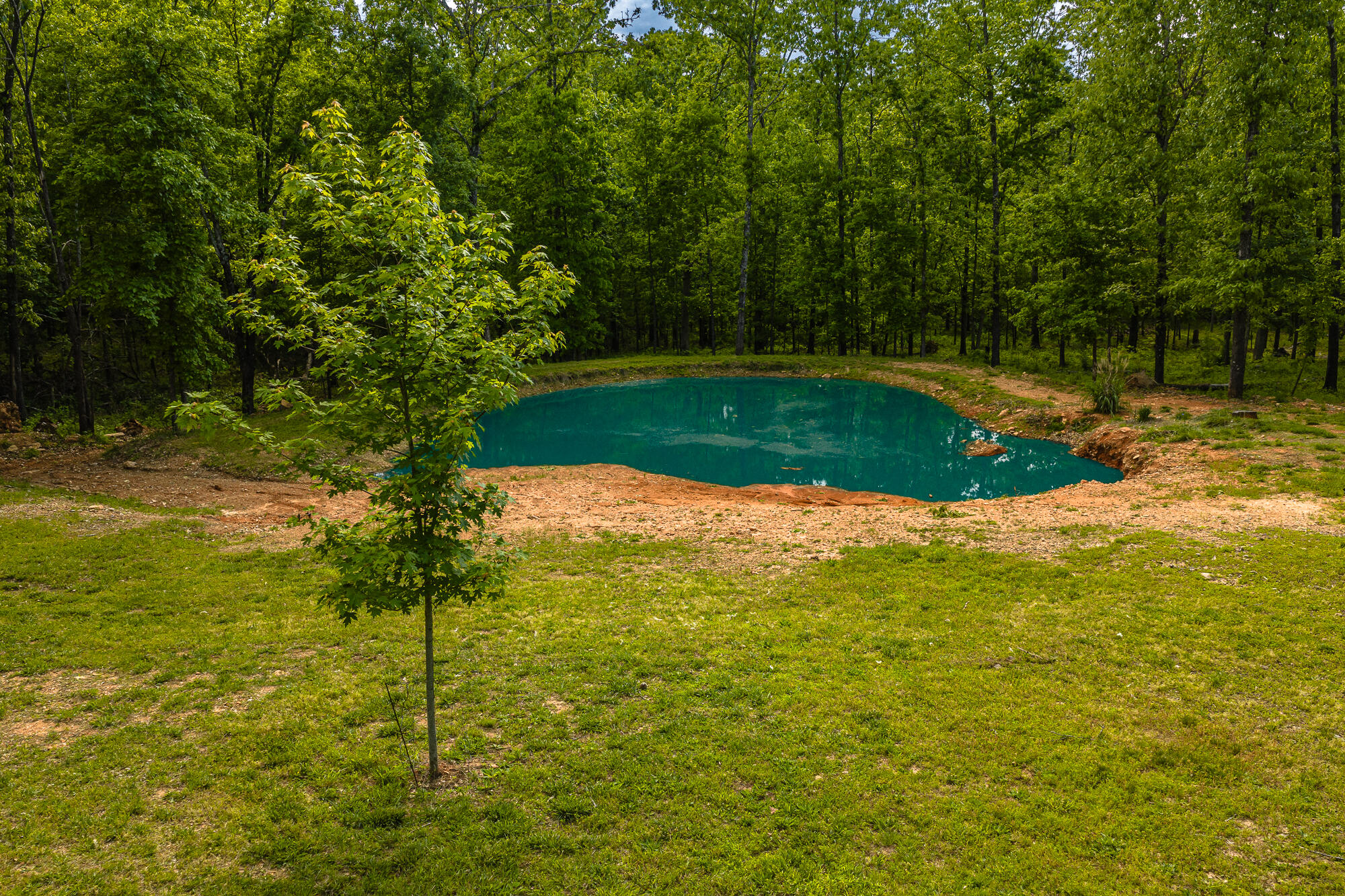 2291 Co Rd 2010 Property Photo 44