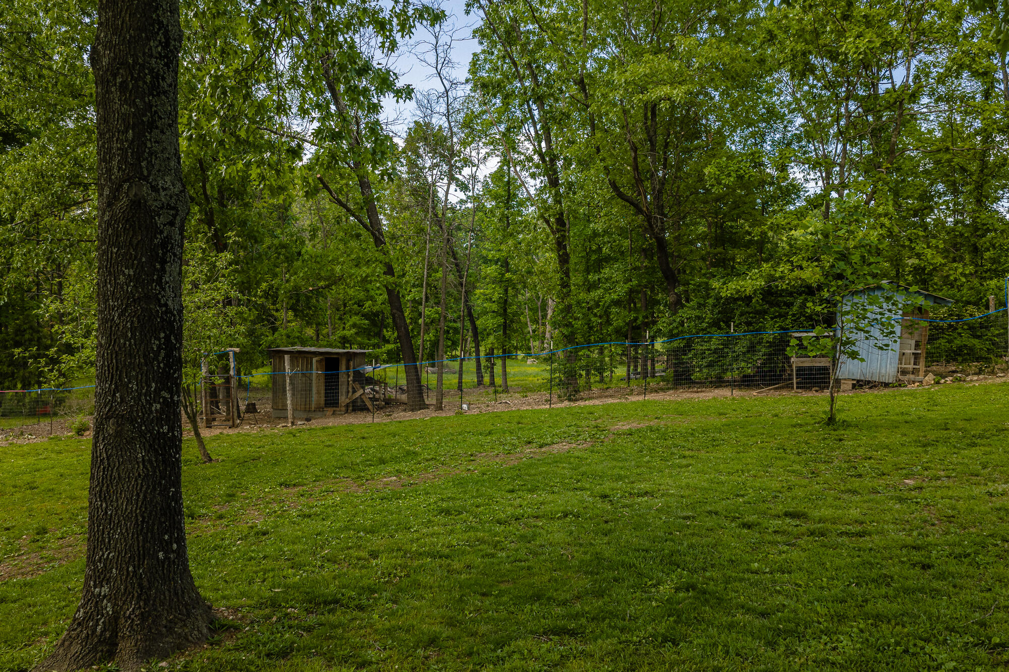2291 Co Rd 2010 Property Photo 47