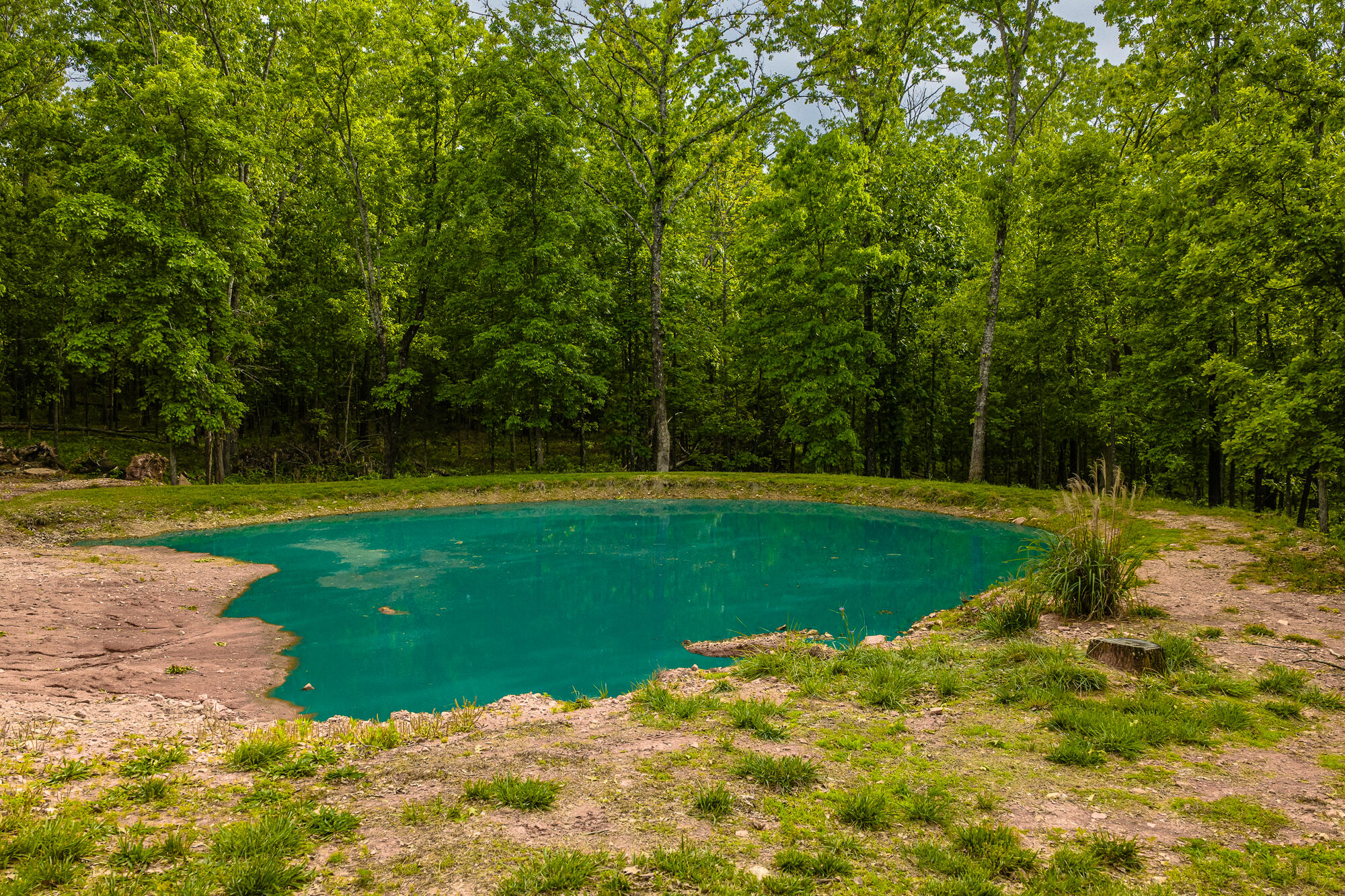2291 Co Rd 2010 Property Photo 53