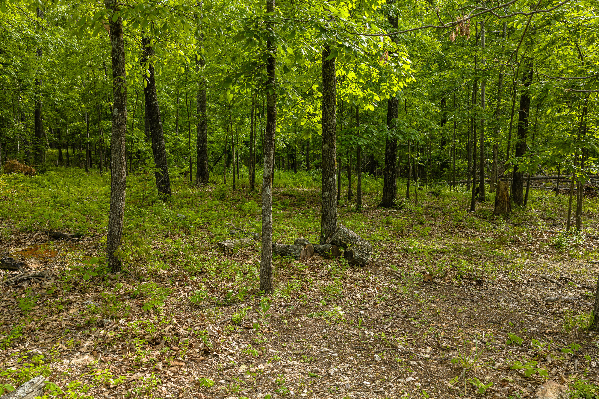 2291 Co Rd 2010 Property Photo 54