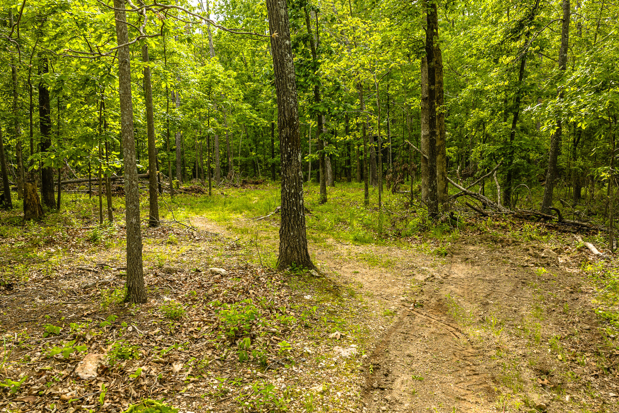 2291 Co Rd 2010 Property Photo 55