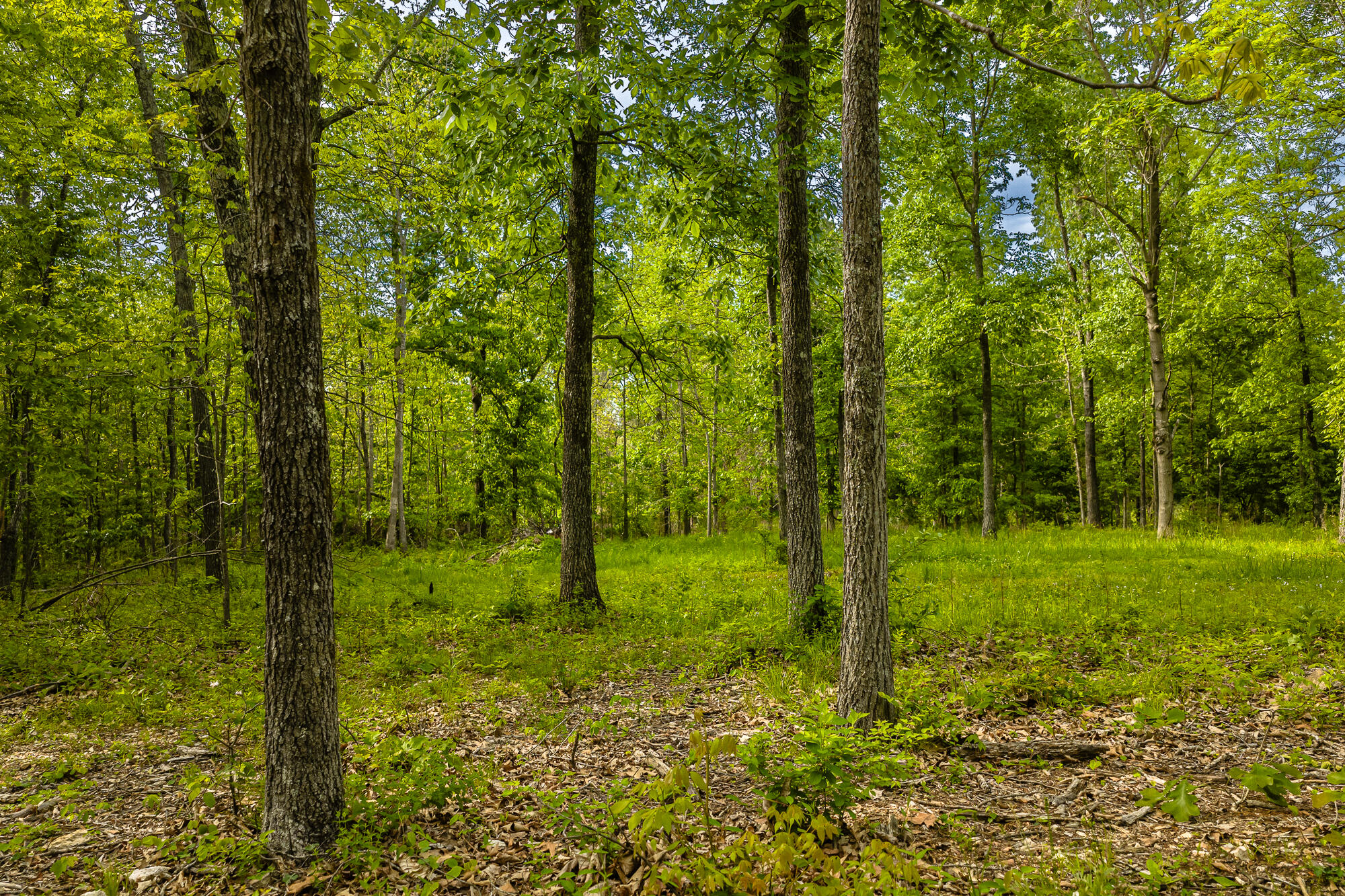 2291 Co Rd 2010 Property Photo 56