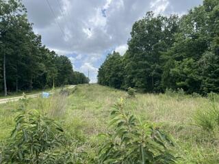 2371 County Road 359 Property Photo 1