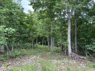 2371 County Road 359 Property Photo 3
