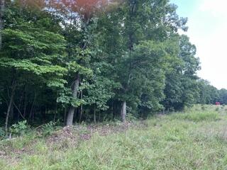 2371 County Road 359 Property Photo 4