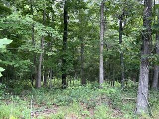 2371 County Road 359 Property Photo 6