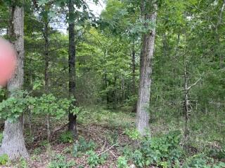 2371 County Road 359 Property Photo 7