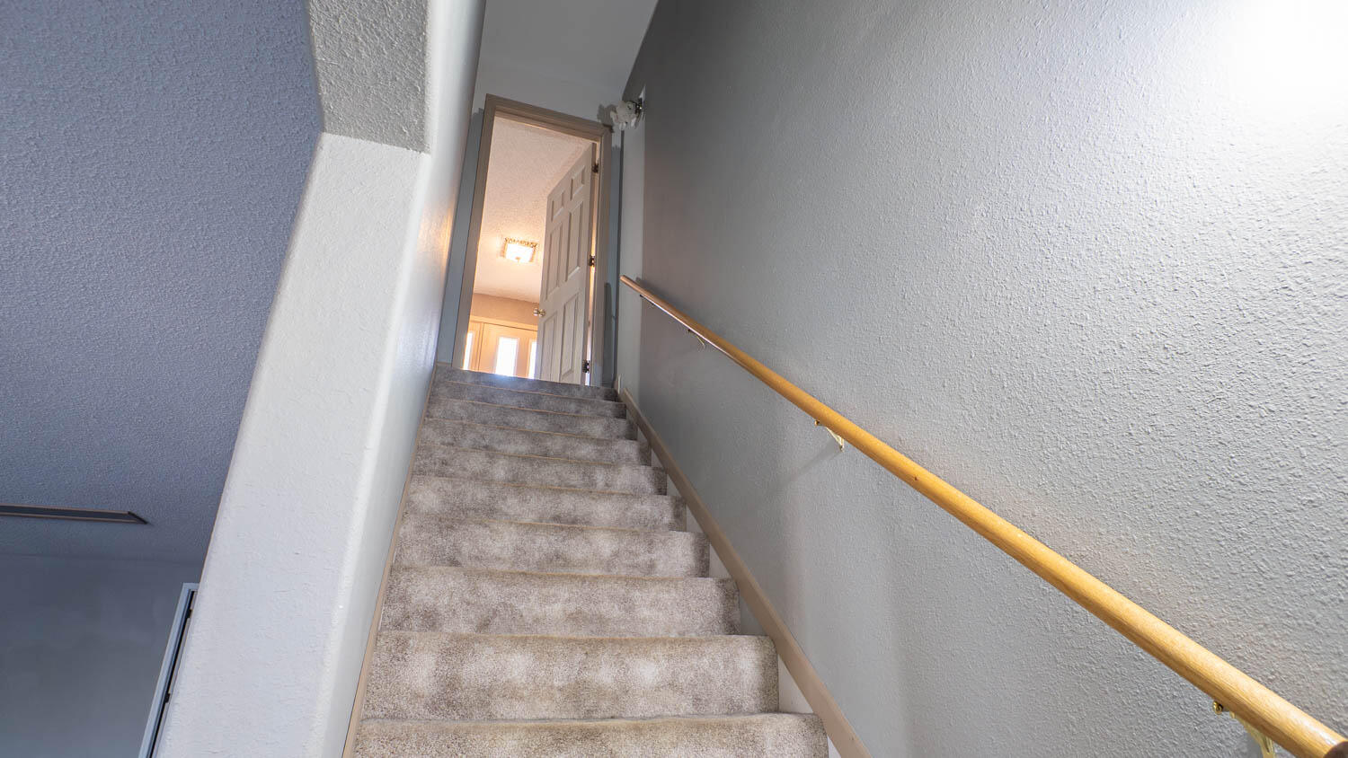 7785 Nadine Road Property Photo 11